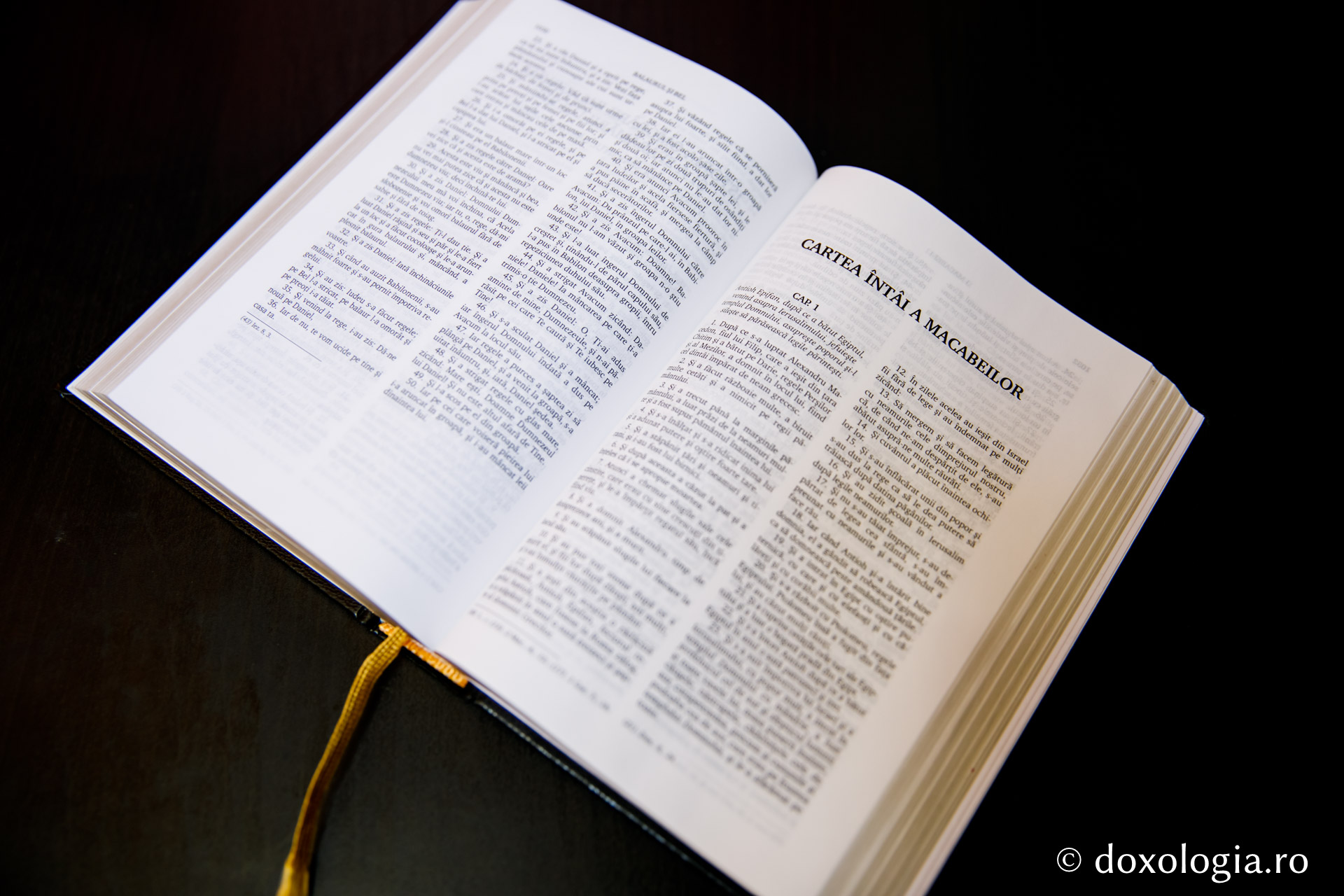 Cartea întâi a Macabeilor – Capitolul 12