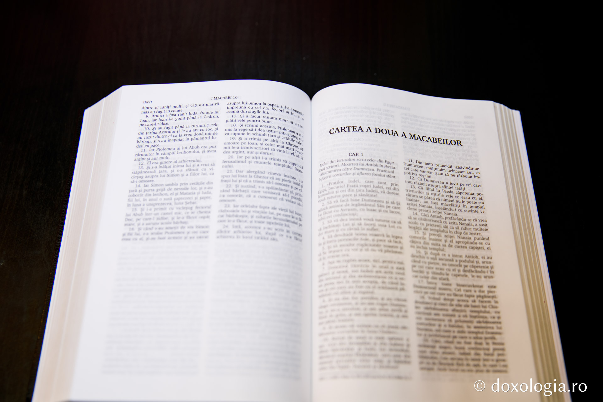 Cartea a doua a Macabeilor – Capitolul 4
