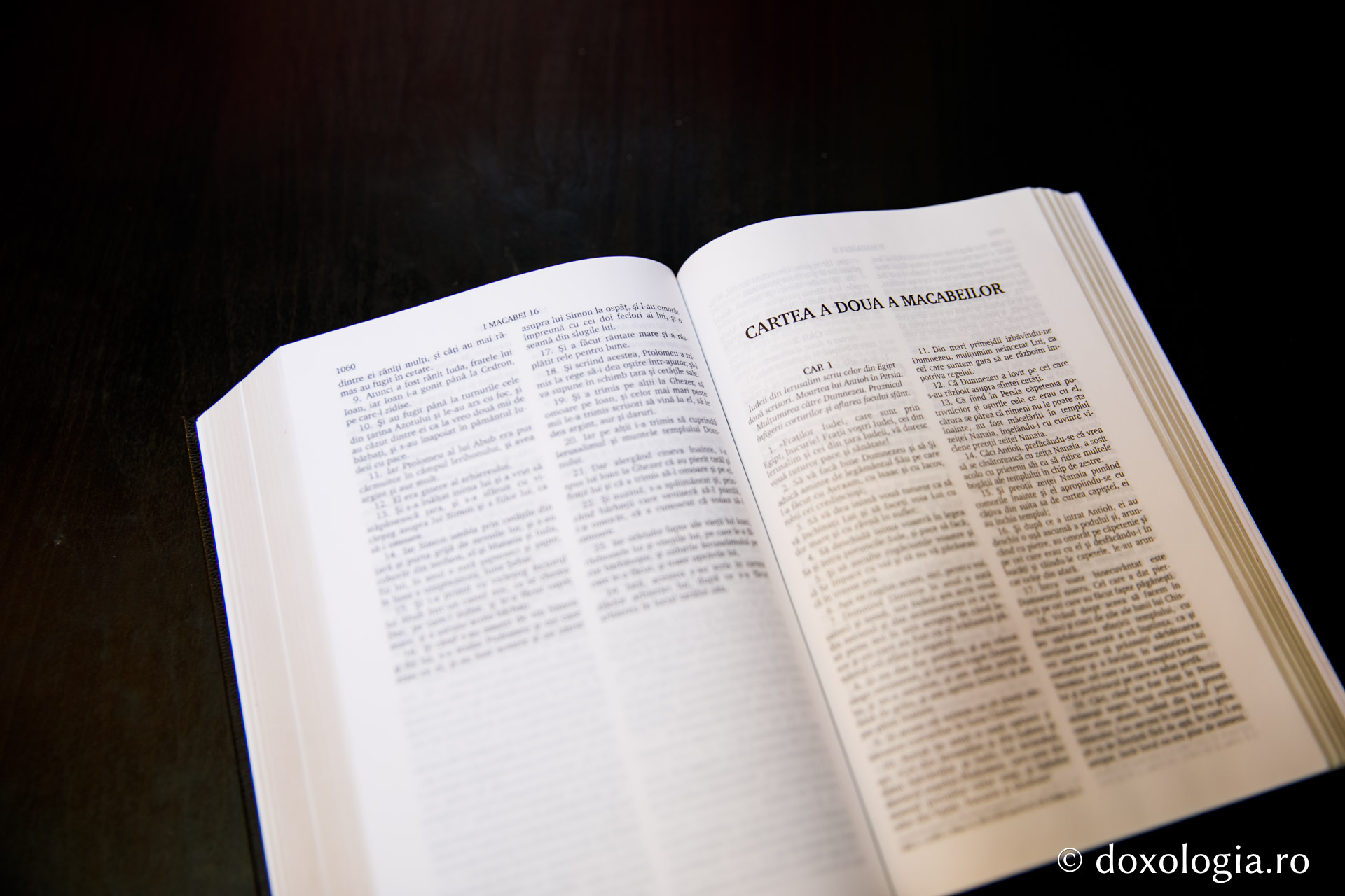 Cartea a doua a Macabeilor – Capitolul 14