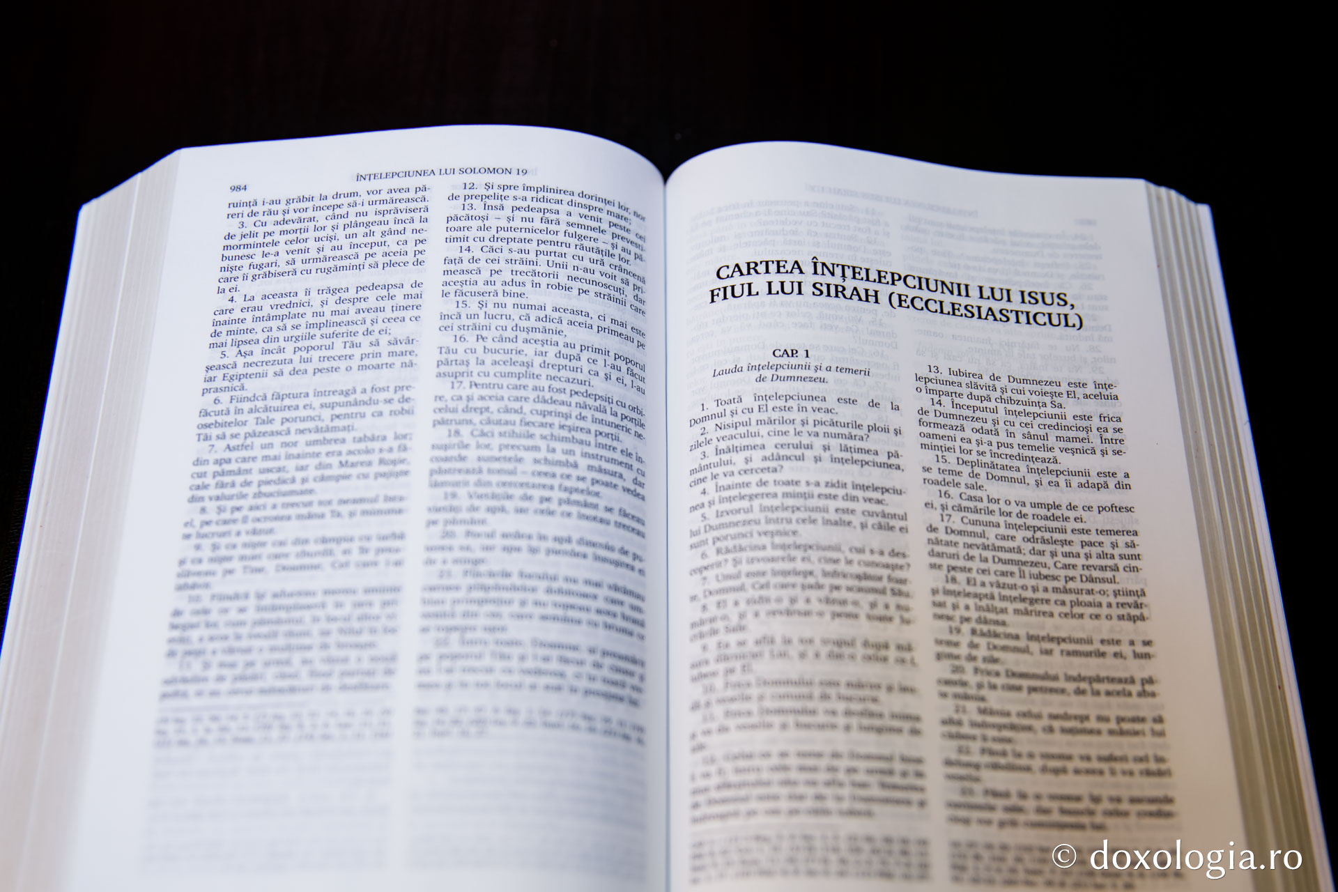 Cartea înțelepciunii lui Isus, fiul lui Sirah (Ecclesiasticul) – Capitolul 10