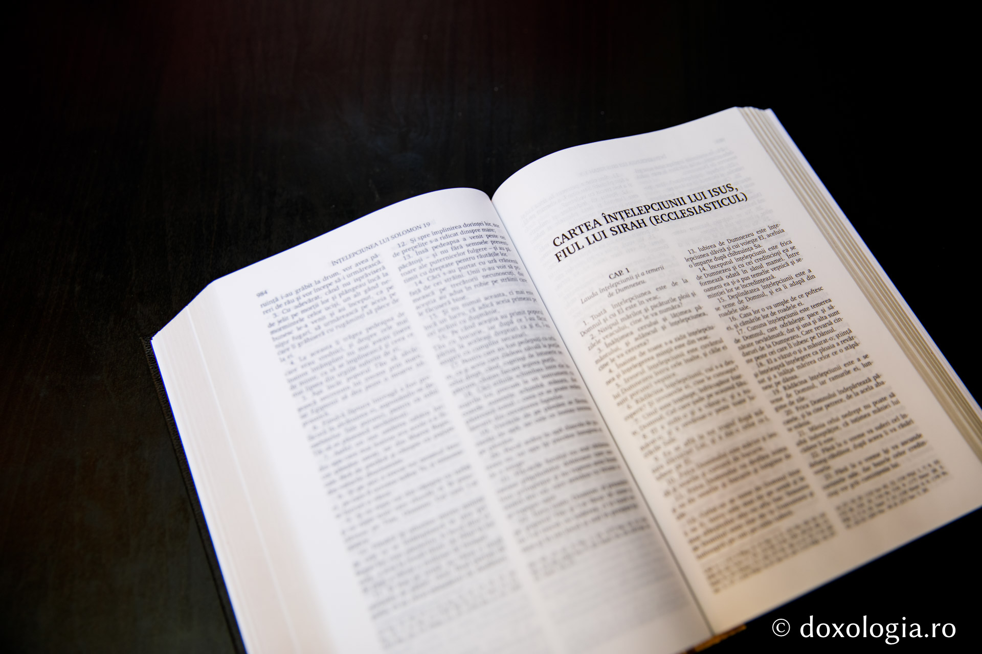 Cartea înțelepciunii lui Isus, fiul lui Sirah (Ecclesiasticul) – Capitolul 21