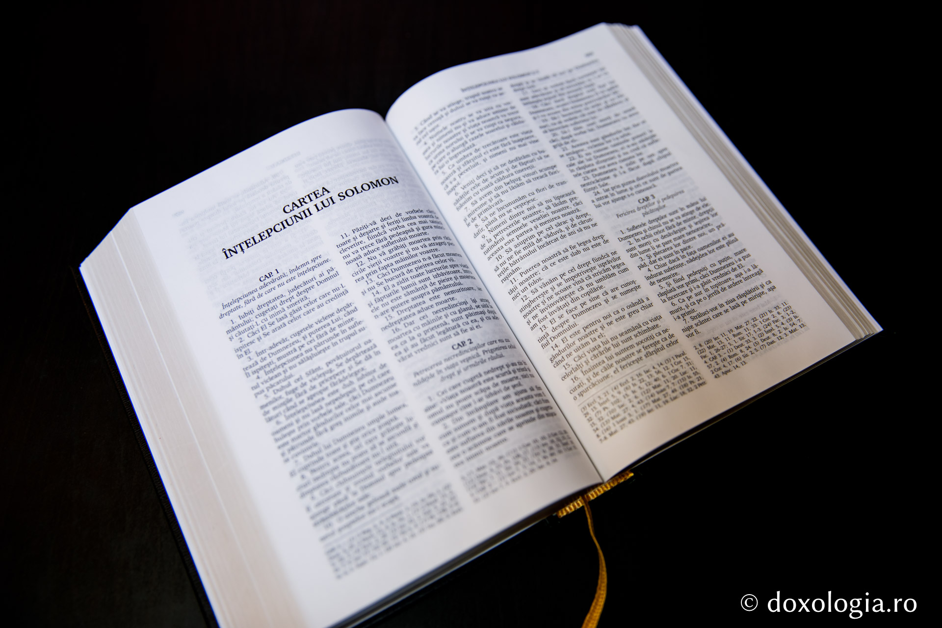 Cartea înțelepciunii lui Solomon – Capitolul 5