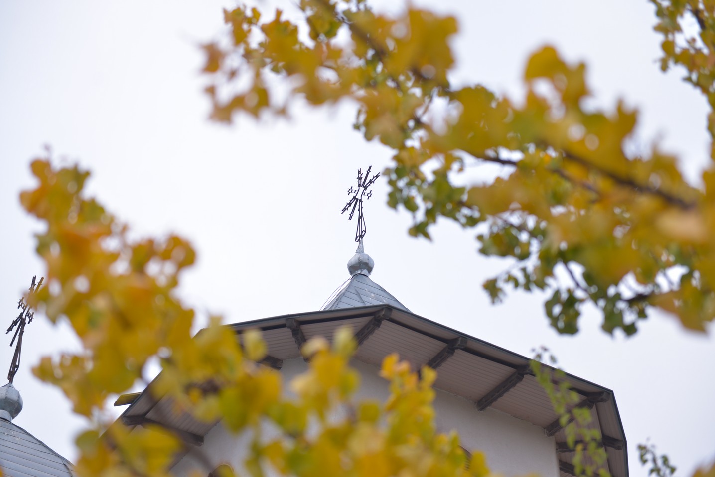 Sfințire de biserică la Avrămeni: „Domnul Hristos nu dorește să rămână cu forța în viața noastră” Sfințire de biserică la Avrămeni: „Domnul Hristos nu dorește să rămână cu forța în viața noastră”