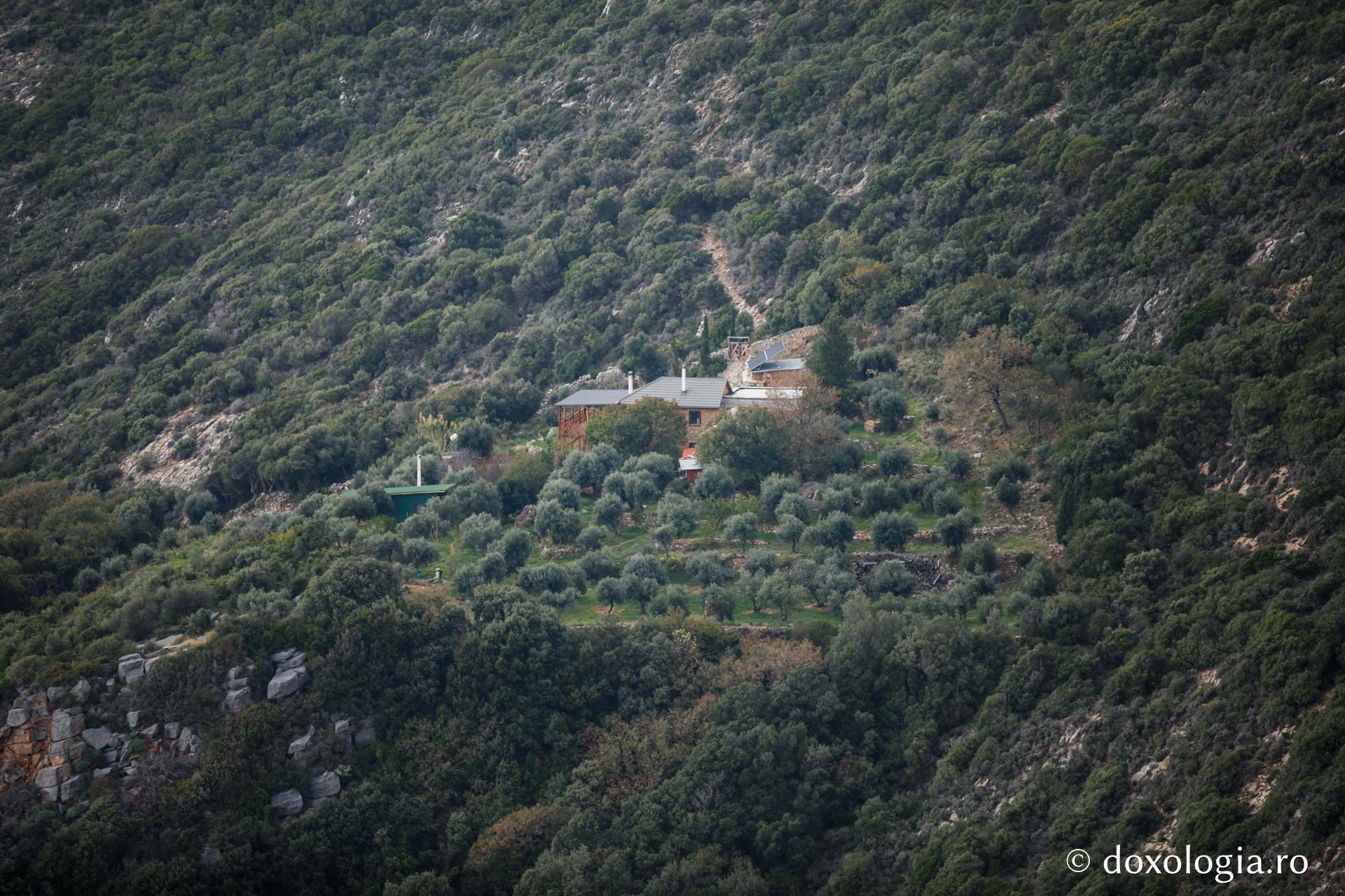 Chilia „Buna Vestire” Ianakopoula – Vigla, Athos