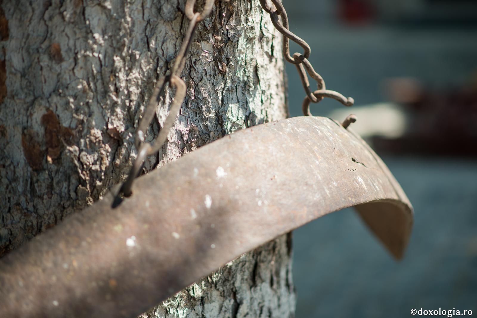 (Video) Ce înseamnă deznădejde?