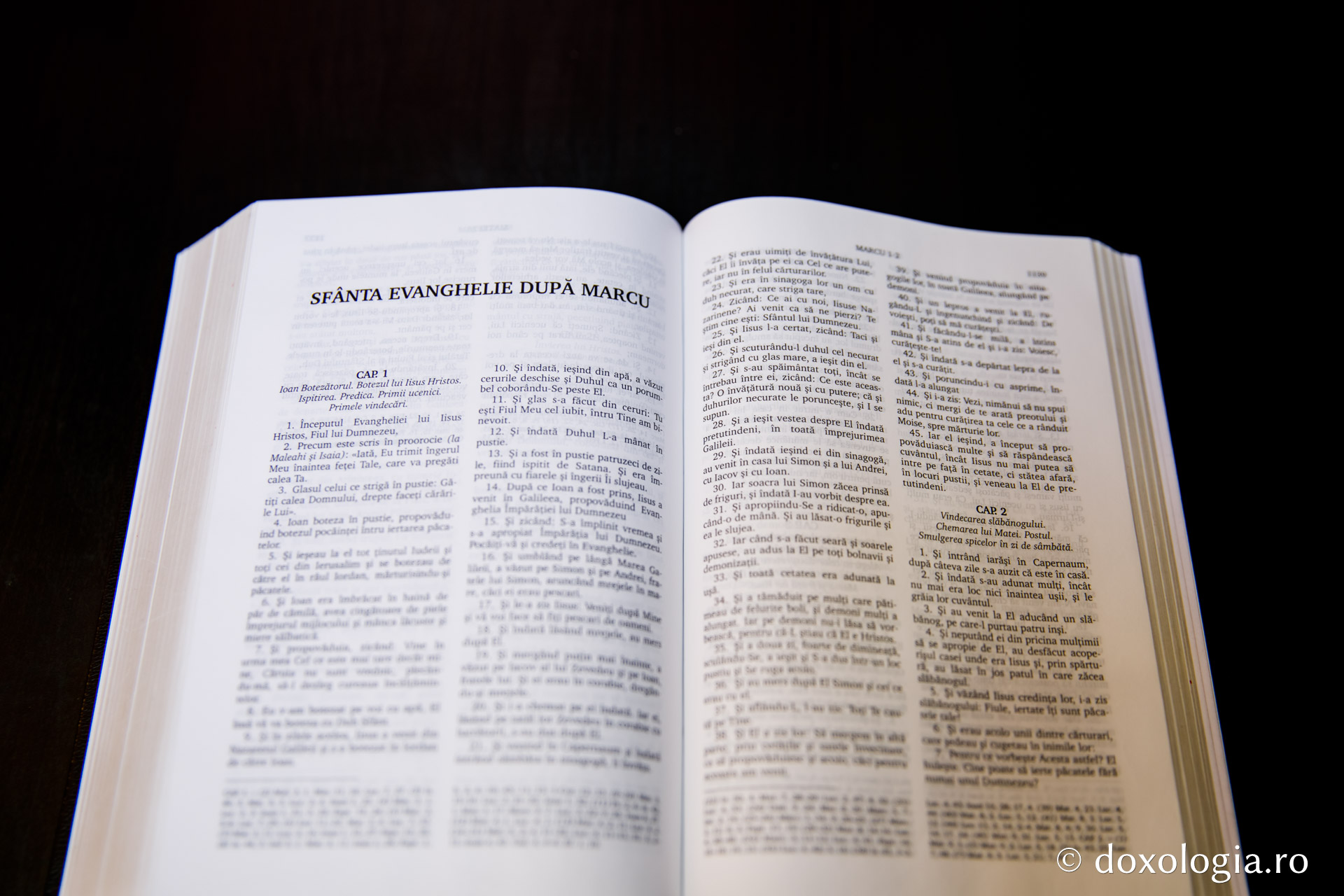 Sfânta Evanghelie după Marcu – Capitolul 4