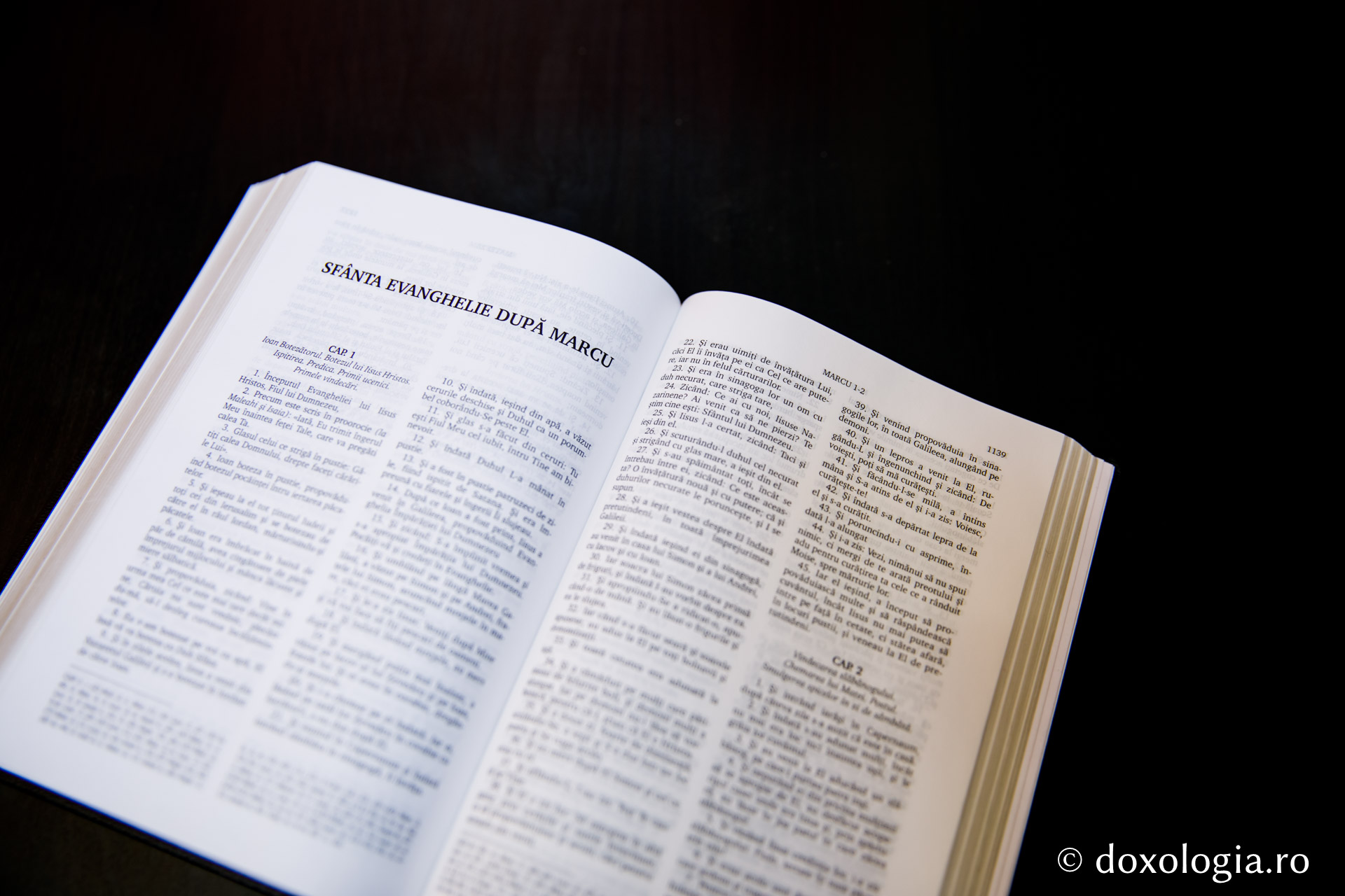 Sfânta Evanghelie după Marcu – Capitolul 3