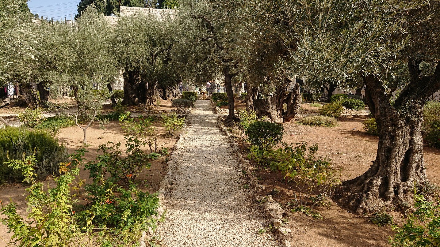 Pe urmele Mântuitorului: delegație din Arhiepiscopia Iașilor condusă de Părintele Mitropolit Teofan, în pelerinaj la Locurile Sfinte