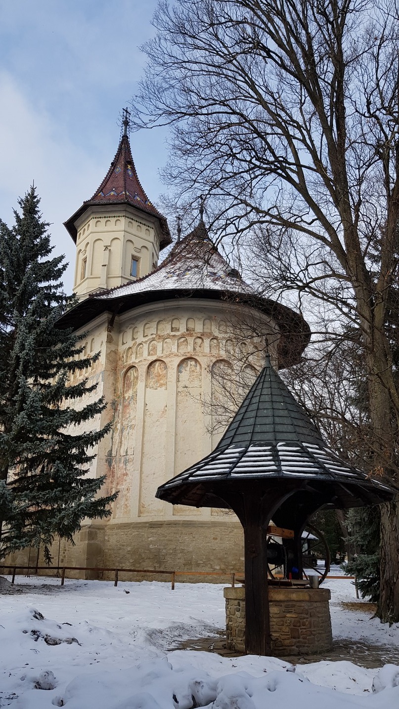 Slujiri arhierești în zilele de Crăciun, în Arhiepiscopia Sucevei și Rădăuților