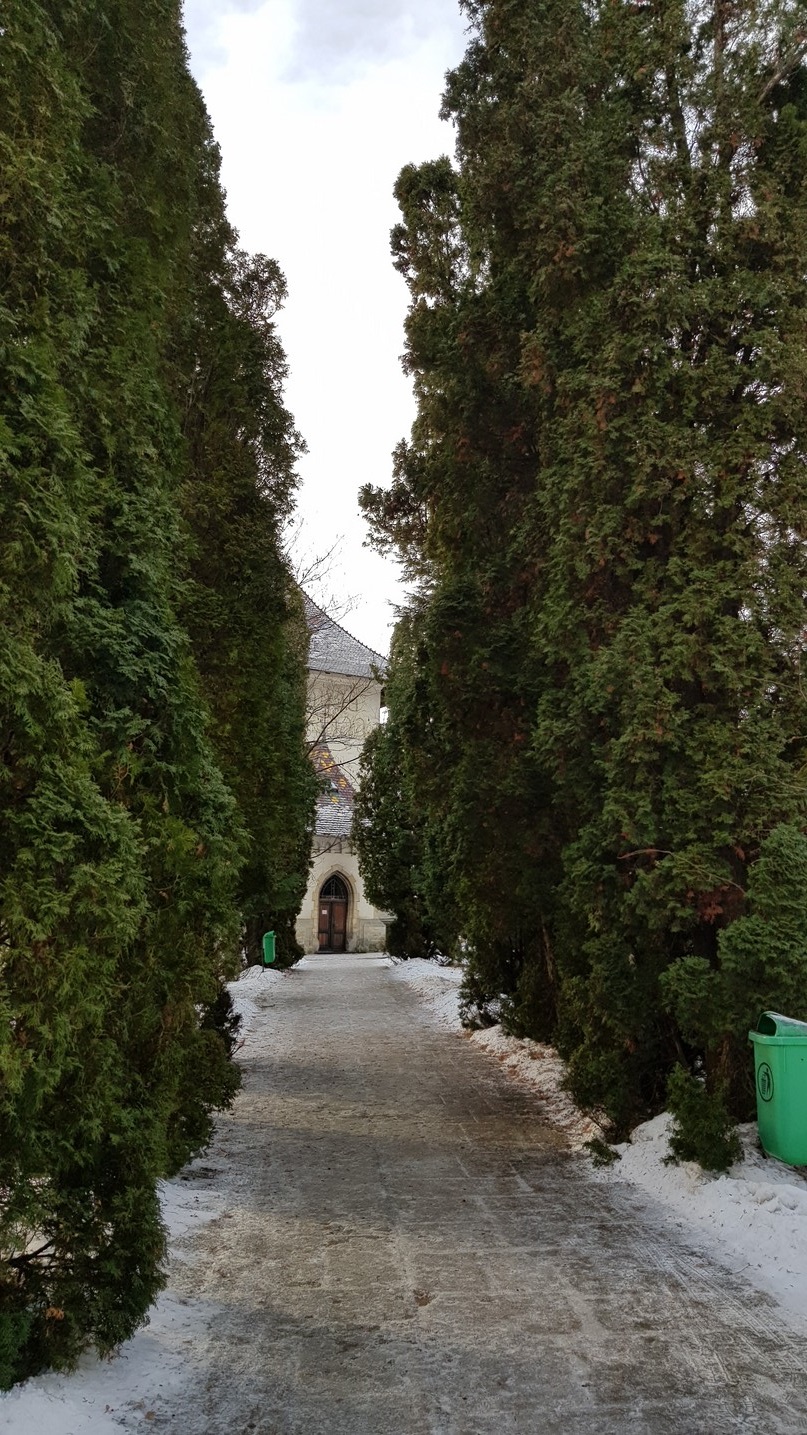 Slujiri arhierești în zilele de Crăciun, în Arhiepiscopia Sucevei și Rădăuților