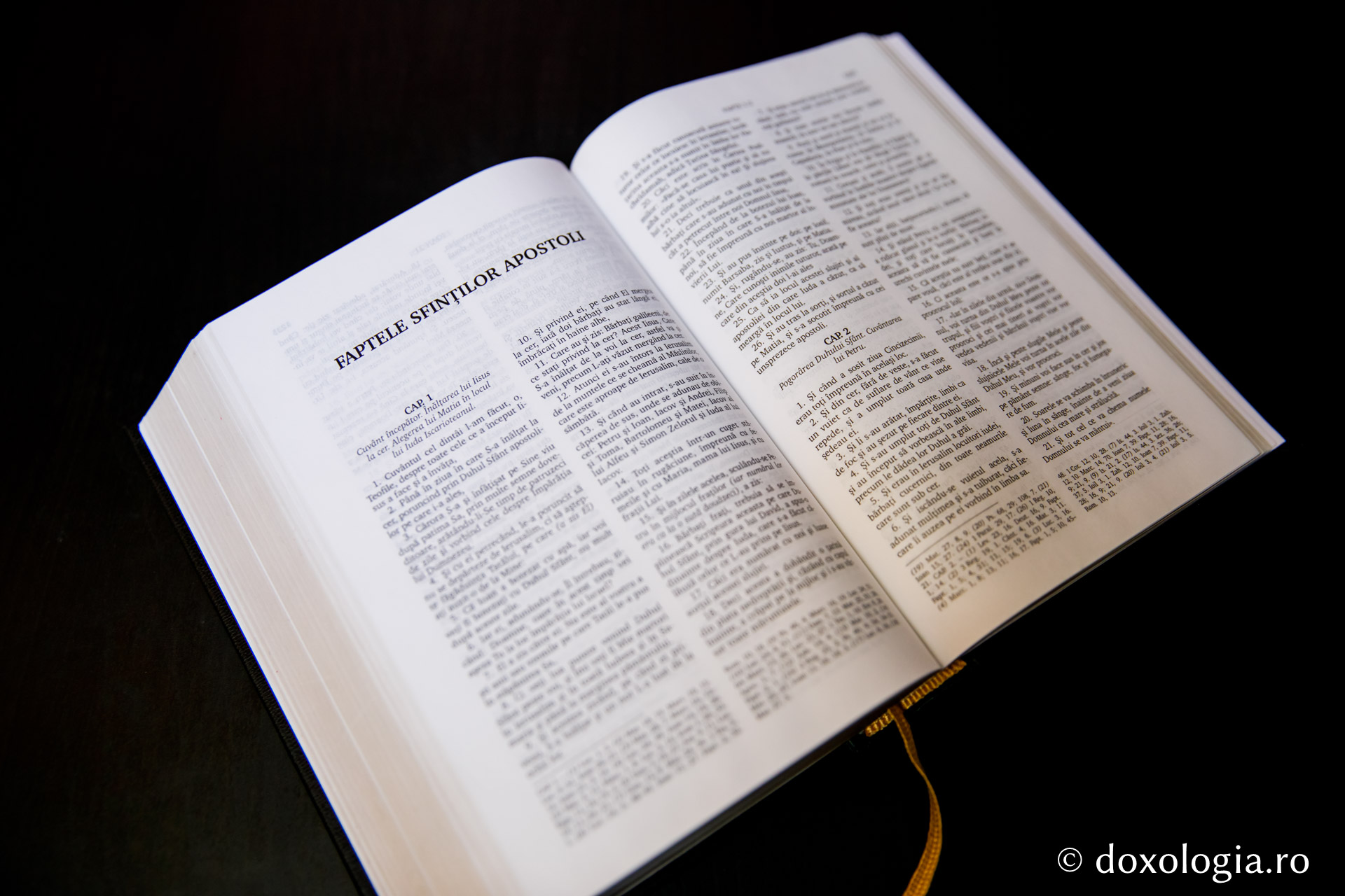 Faptele Sfinților Apostoli – Capitolul 11