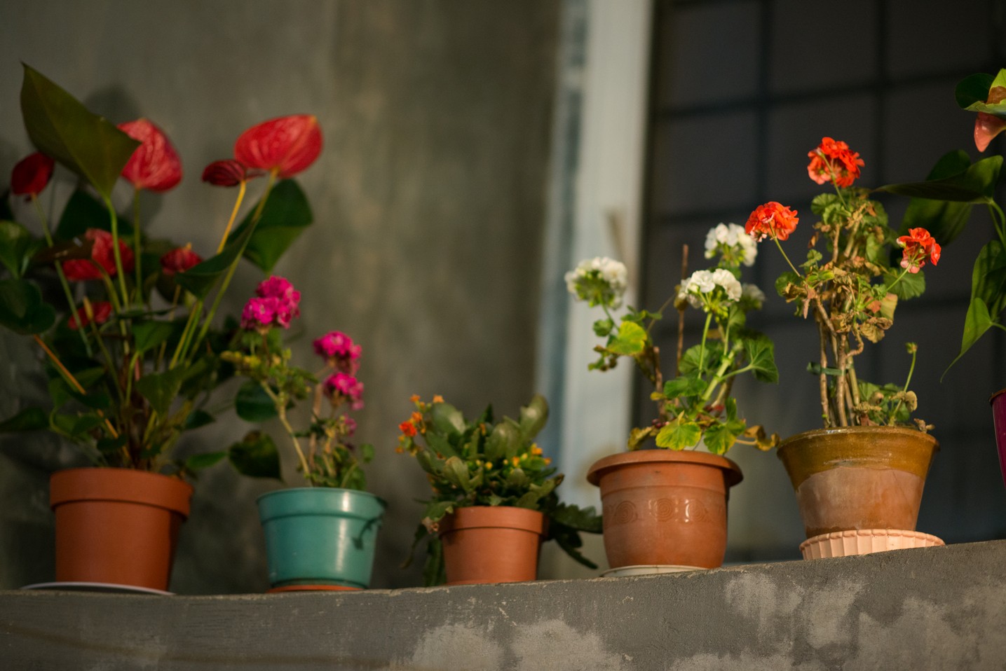 Sfânta Mare Muceniţă Ecaterina a unit în rugăciune preoţi şi credincioşi la Parohia Lozonschi