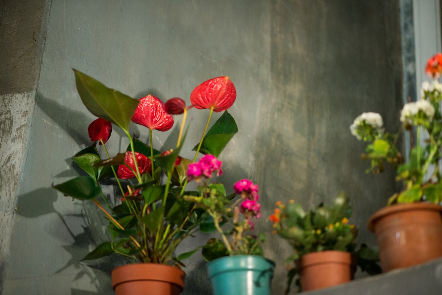 Sfânta Mare Muceniţă Ecaterina a unit în rugăciune preoţi şi credincioşi la Parohia Lozonschi