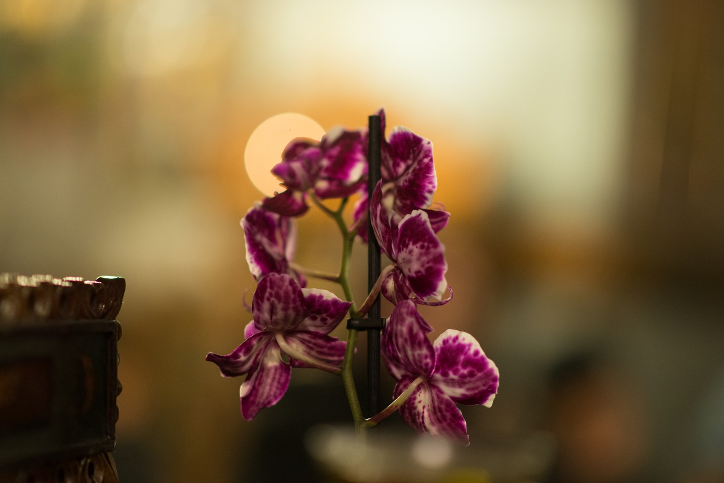 Sfânta Mare Muceniţă Ecaterina a unit în rugăciune preoţi şi credincioşi la Parohia Lozonschi