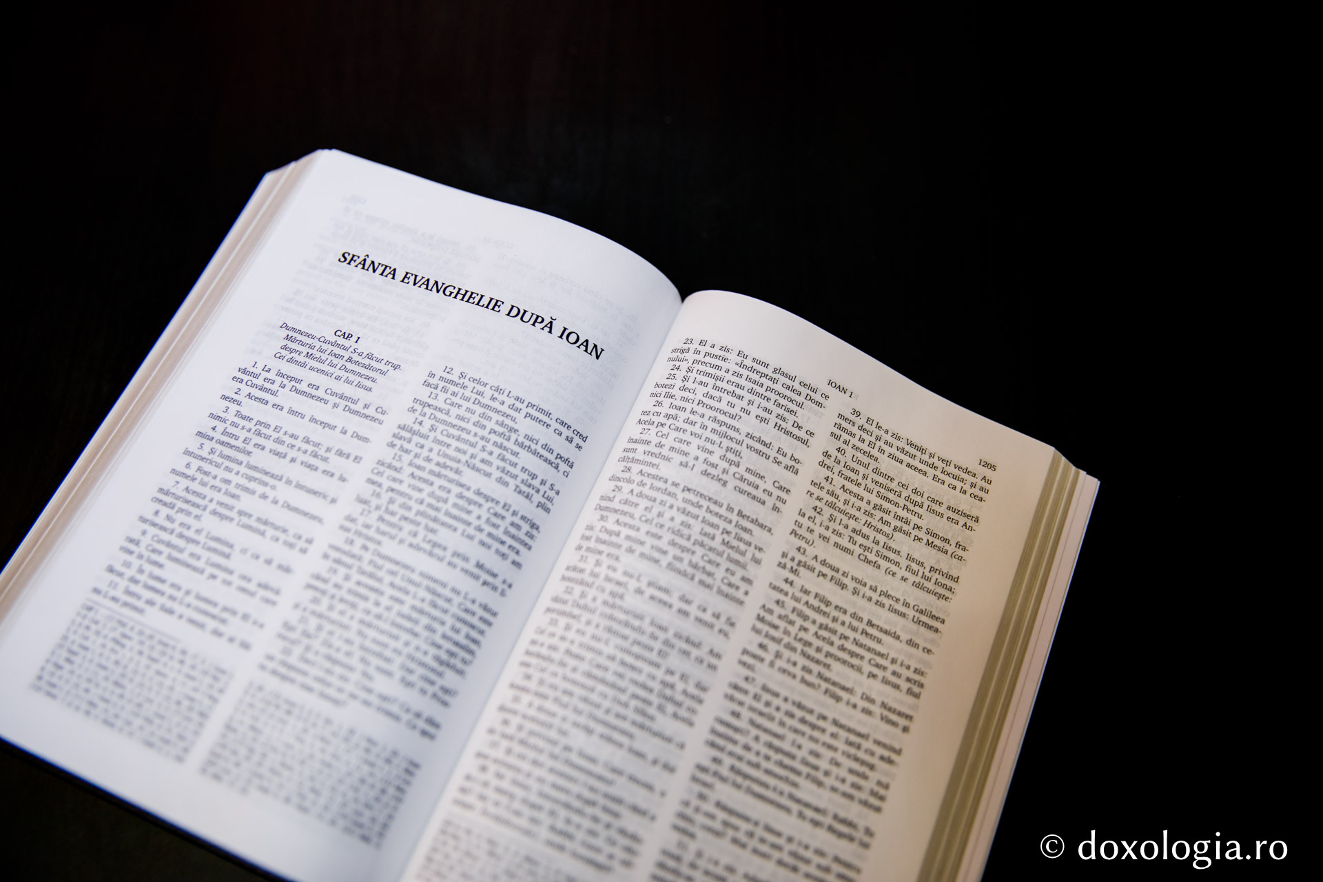 Sfânta Evanghelie după Ioan – Capitolul 21