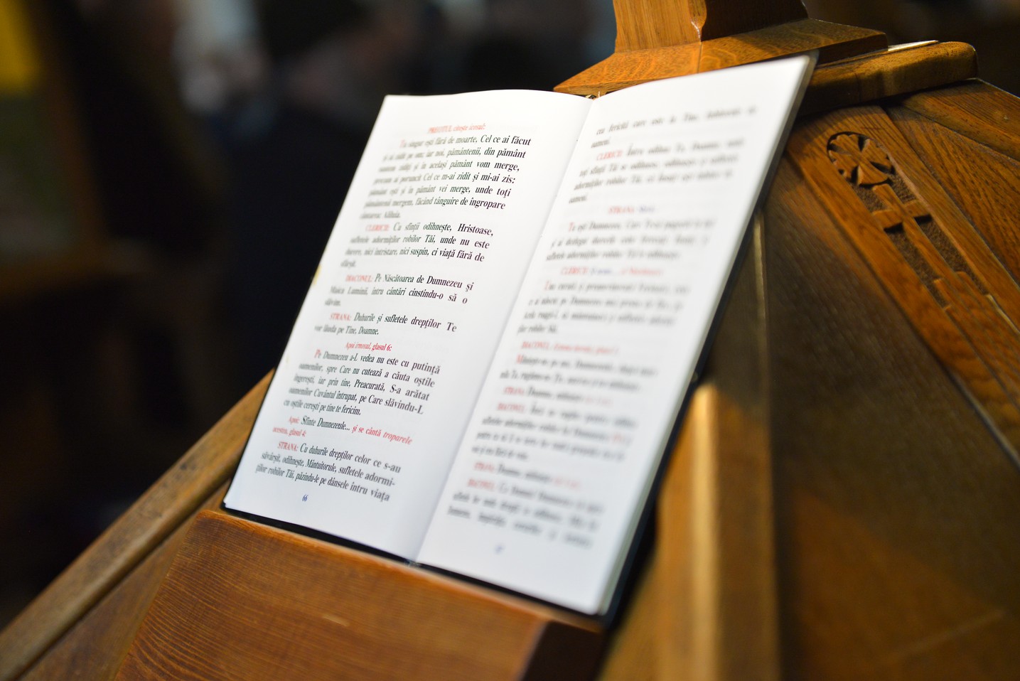 Slujbă de pomenire pentru Părintele Cleopa Ilie, la 20 de ani de la trecerea sa la Domnul Slujbă de pomenire pentru Părintele Cleopa Ilie, la 20 de ani de la trecerea sa la Domnul