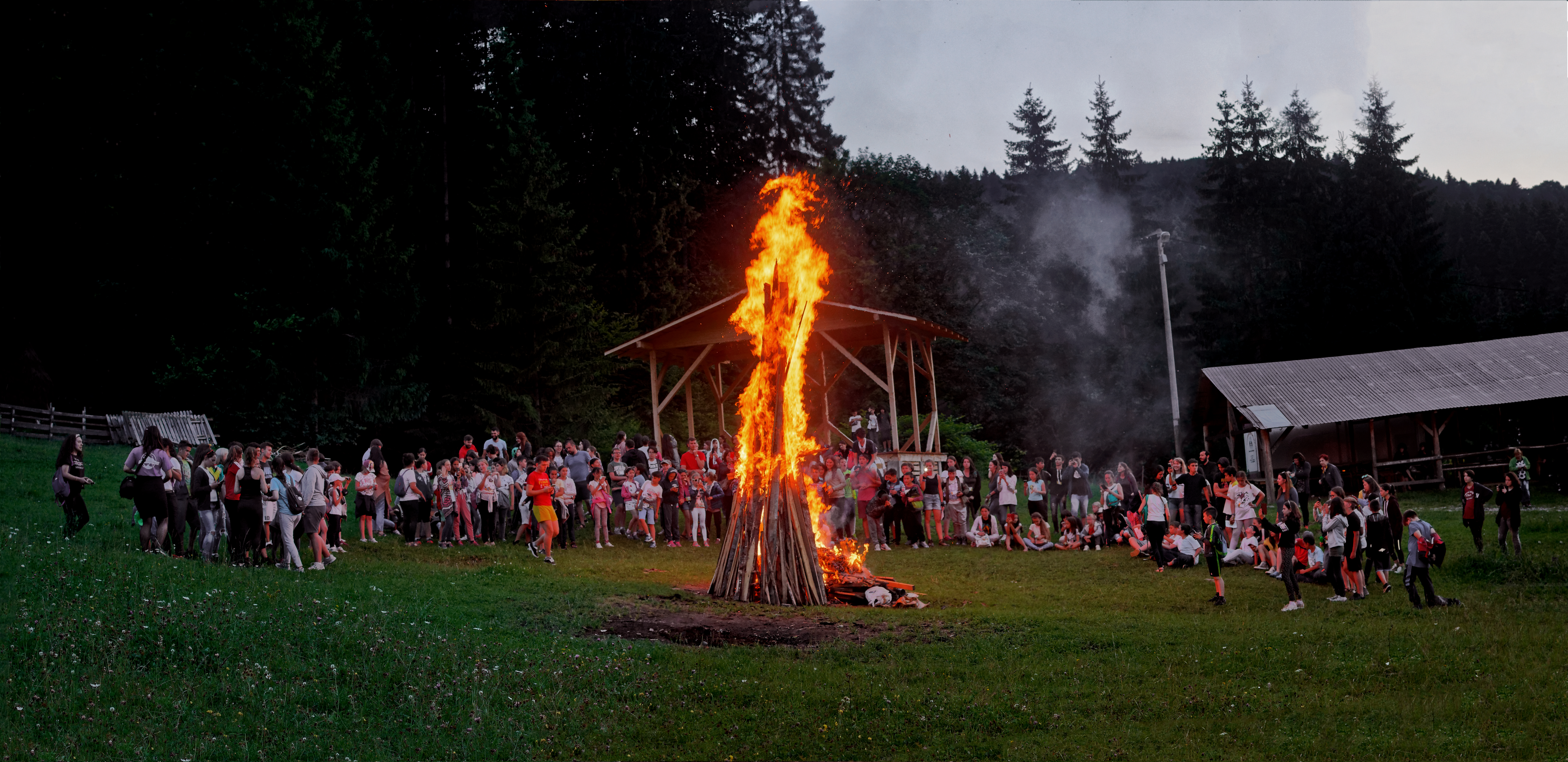 Nouă ani de tabără Floare de colţ la Durău
