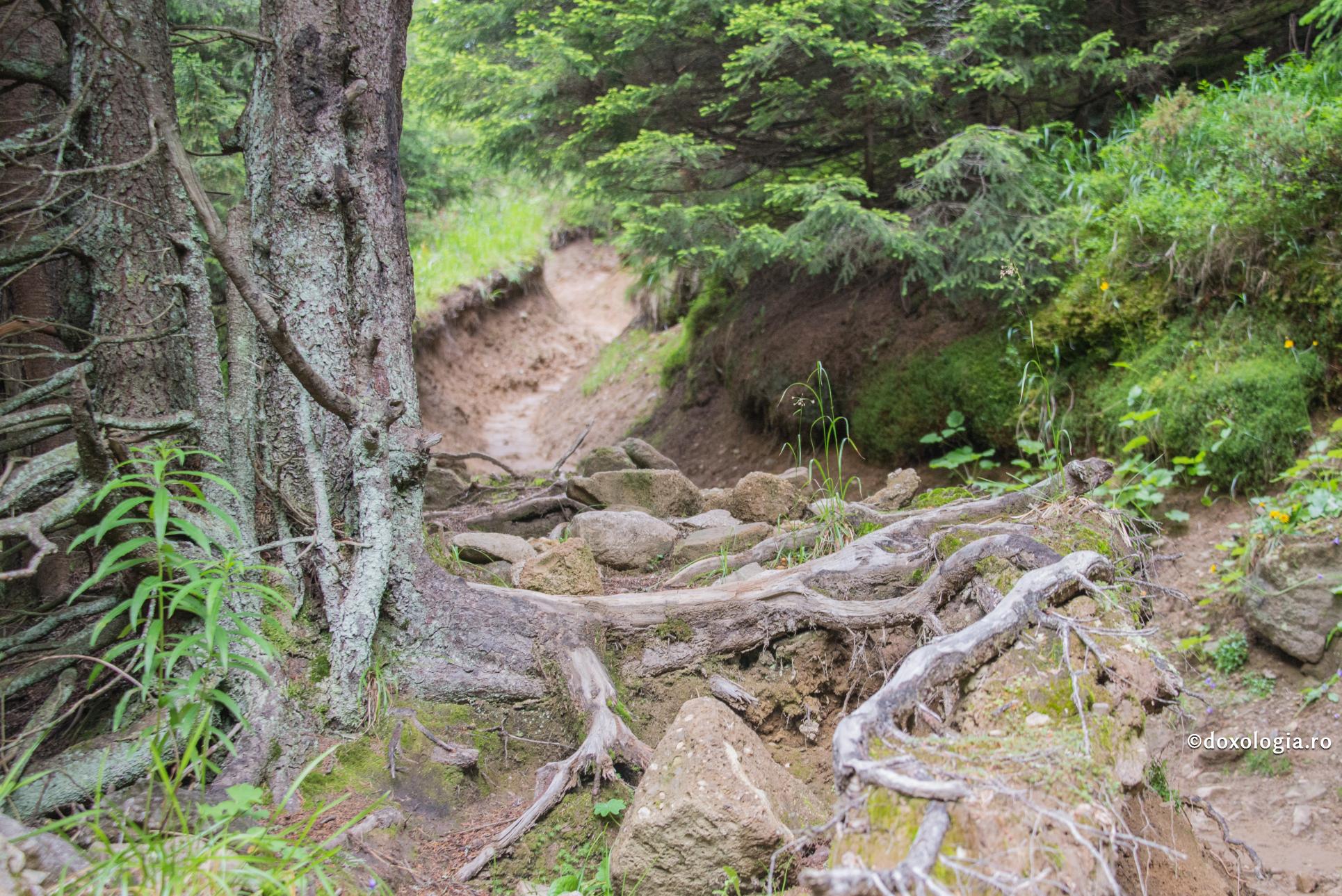 Drumul mântuirii este presărat cu ispite