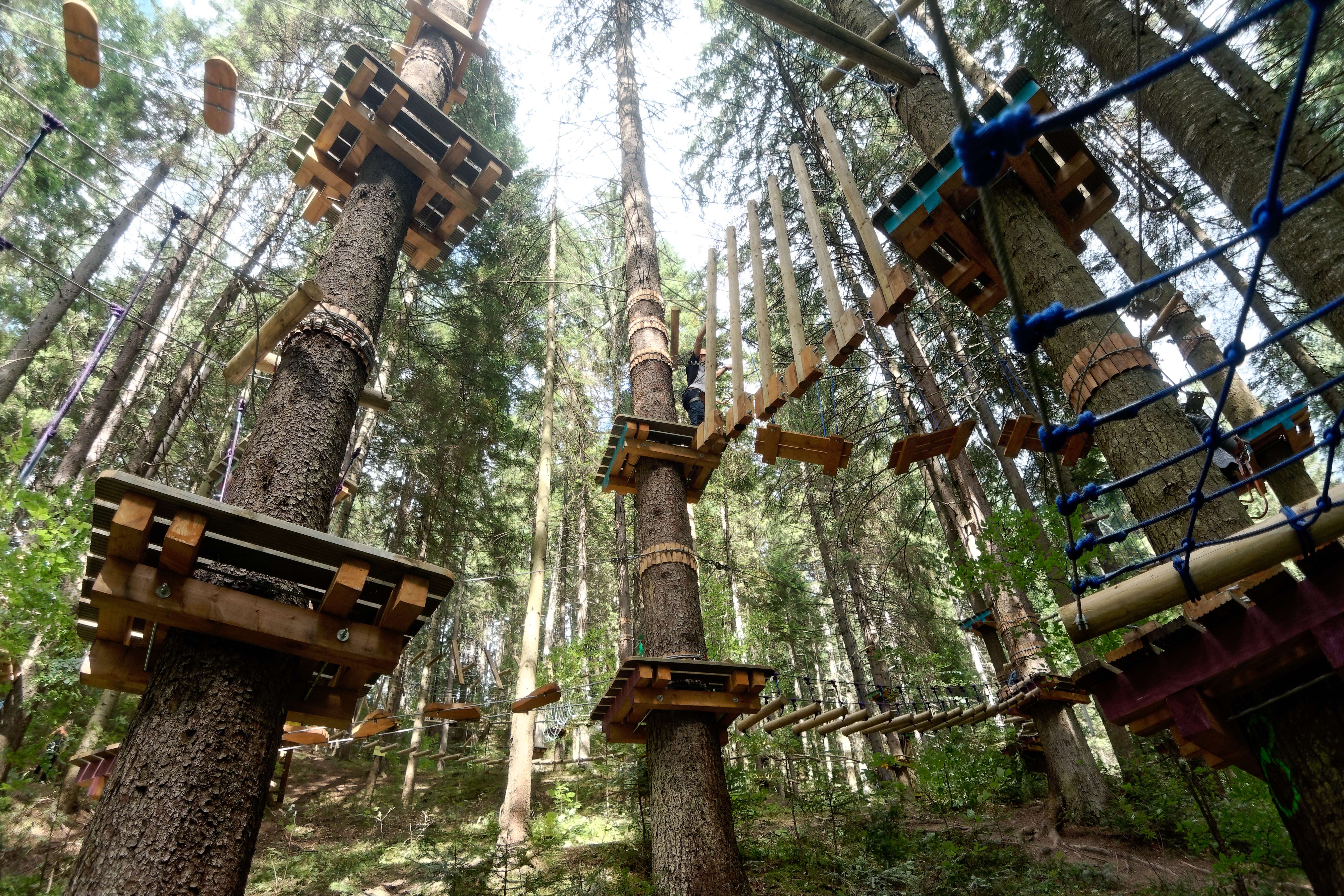 Nouă ani de tabără Floare de colţ la Durău