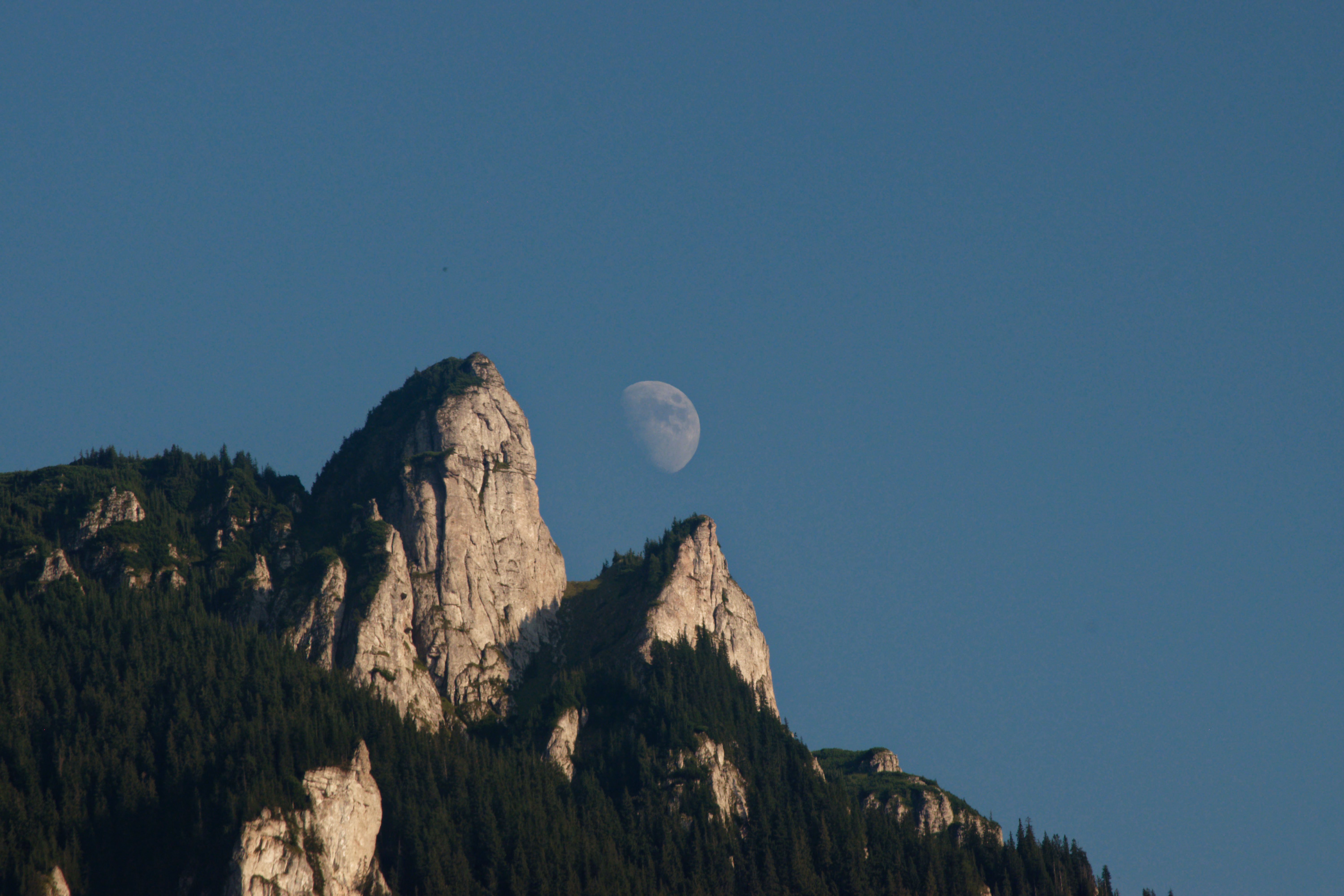 Nouă ani de tabără Floare de colţ la Durău