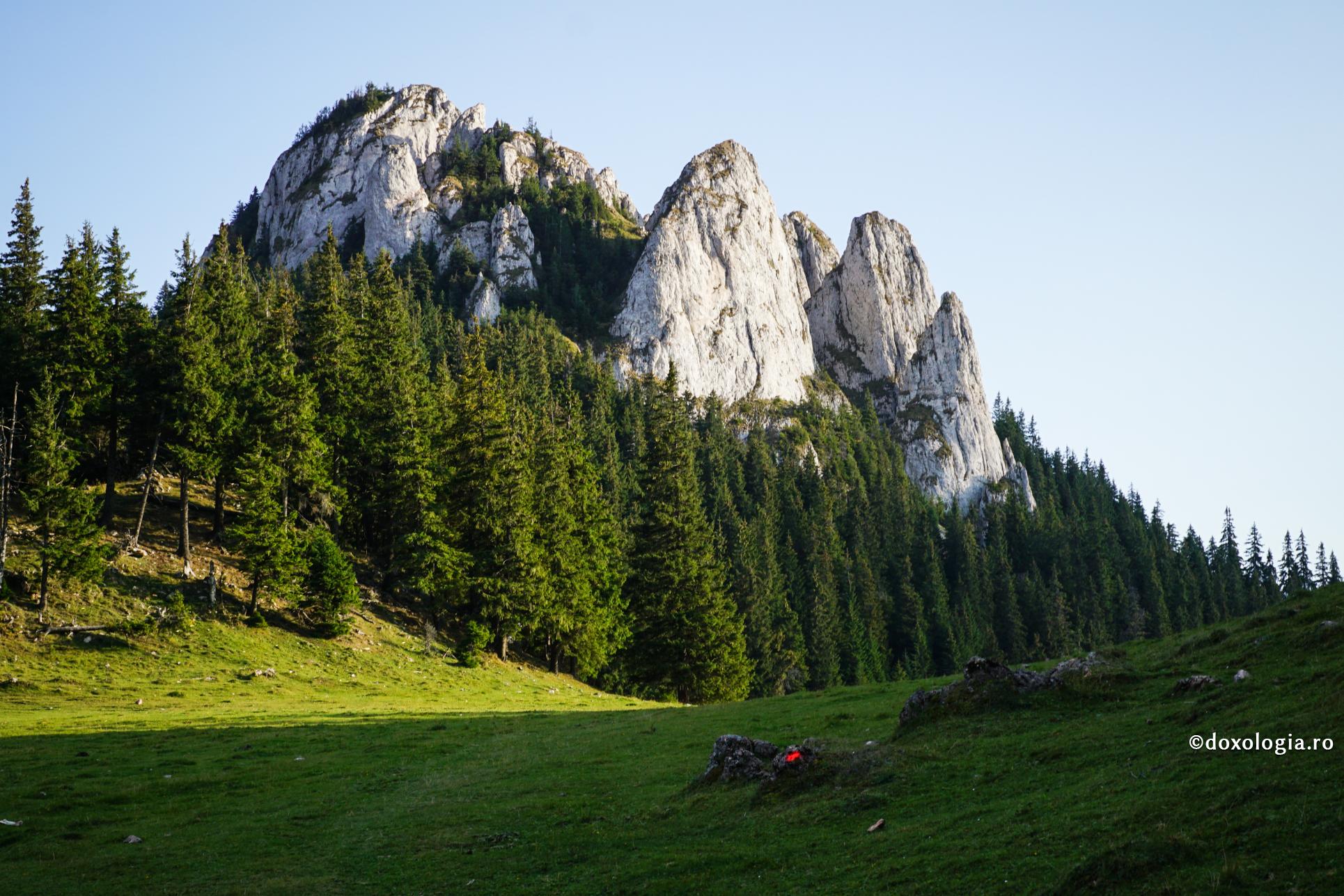 Necăsătoria: un „munte” mare, uriaş, anevoios, greu de izbutit