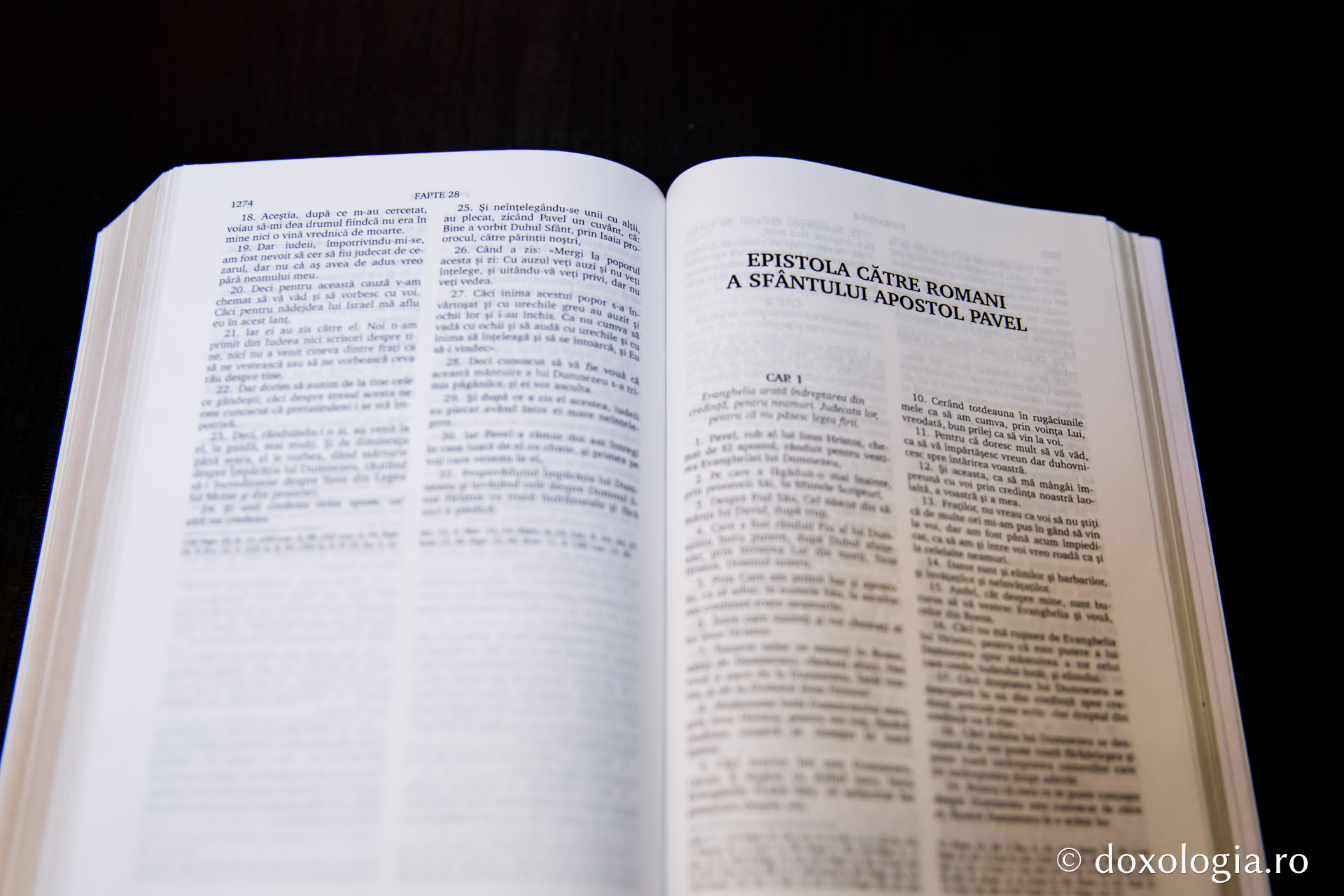 Epistola către Romani a Sfântului Apostol Pavel – Capitolul 7
