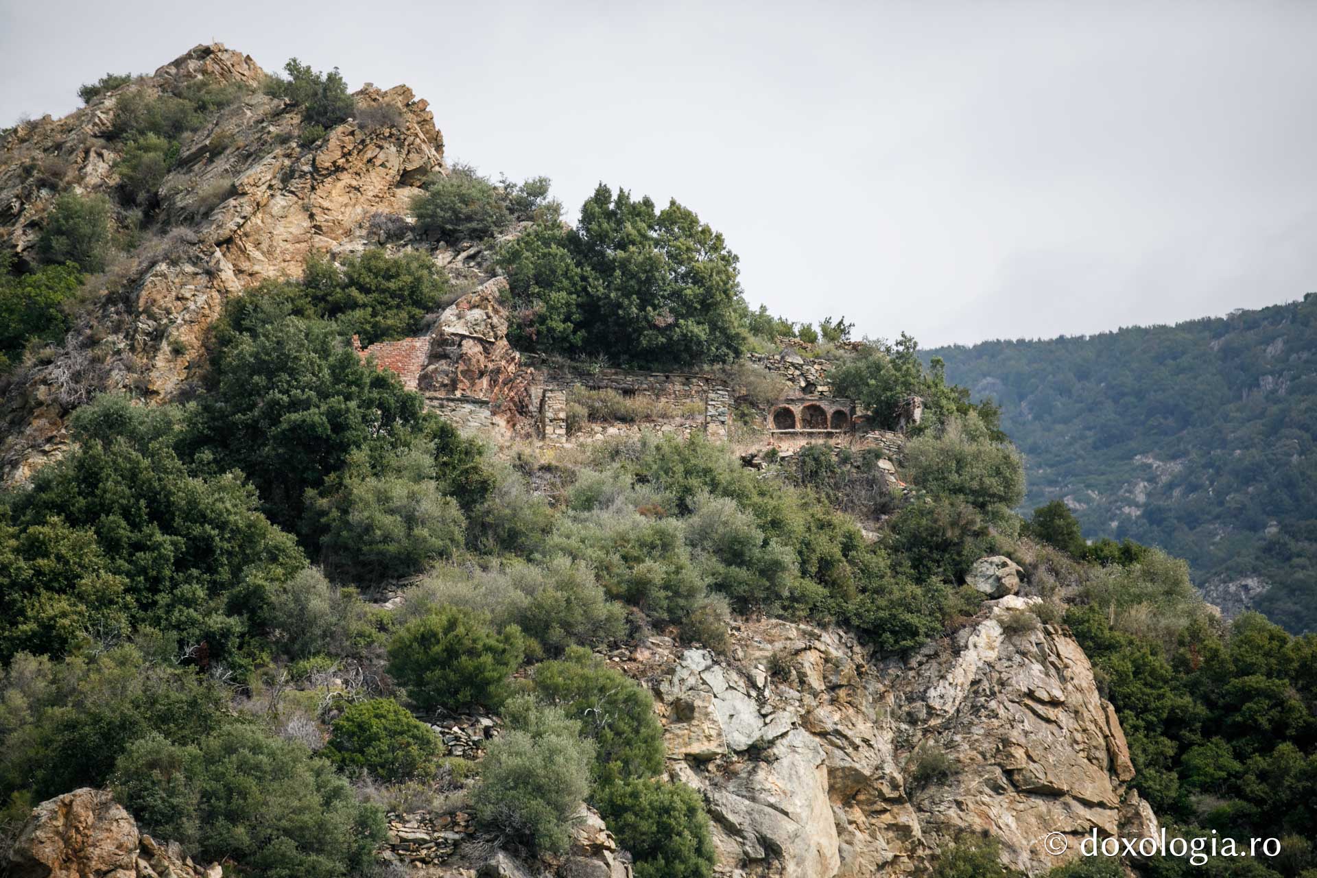 Ruinele chiliei părintelui Sava / Foto: Pr. Silviu Cluci Ruinele chiliei părintelui Sava
