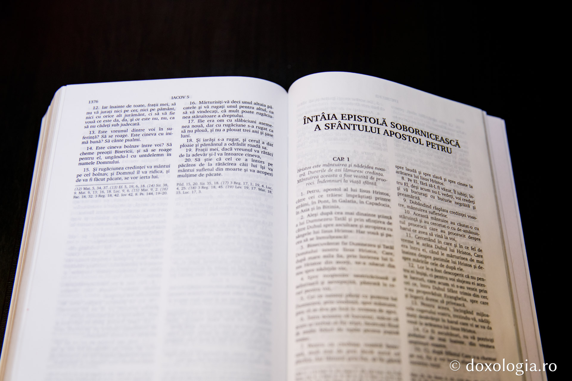 Întâia Epistolă Sobornicească a Sfântului Apostol Petru – Capitolul 4