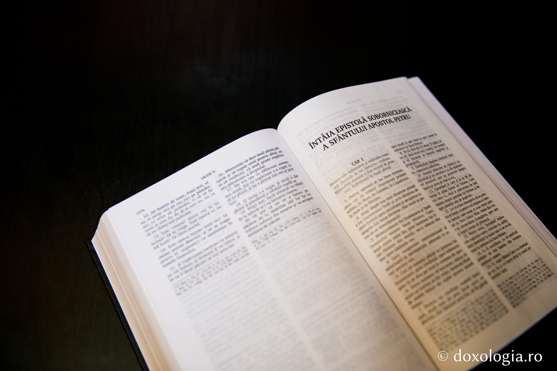 Întâia Epistolă Sobornicească a Sfântului Apostol Petru – Capitolul 5