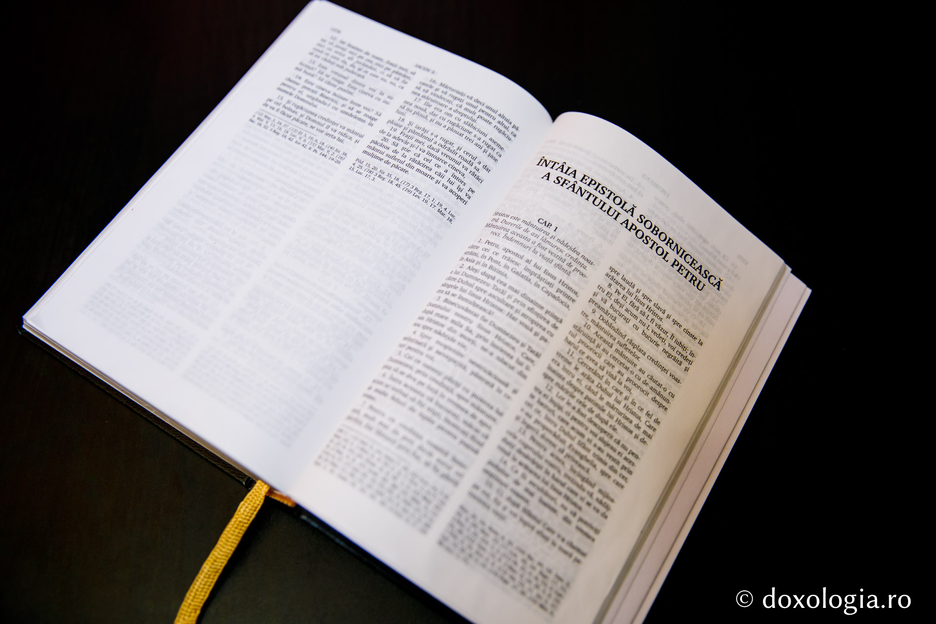 Întâia Epistolă Sobornicească a Sfântului Apostol Petru – Capitolul 3