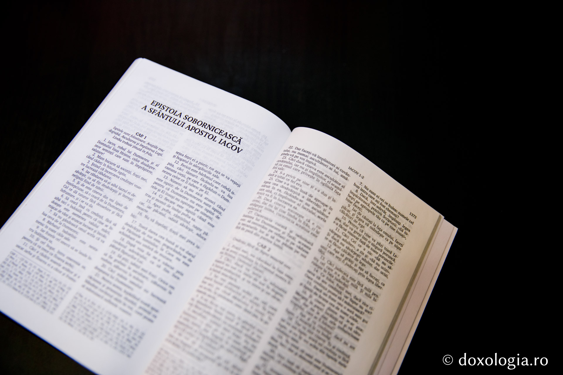 Epistola Sobornicească a Sfântului Apostol Iacov – Capitolul 3