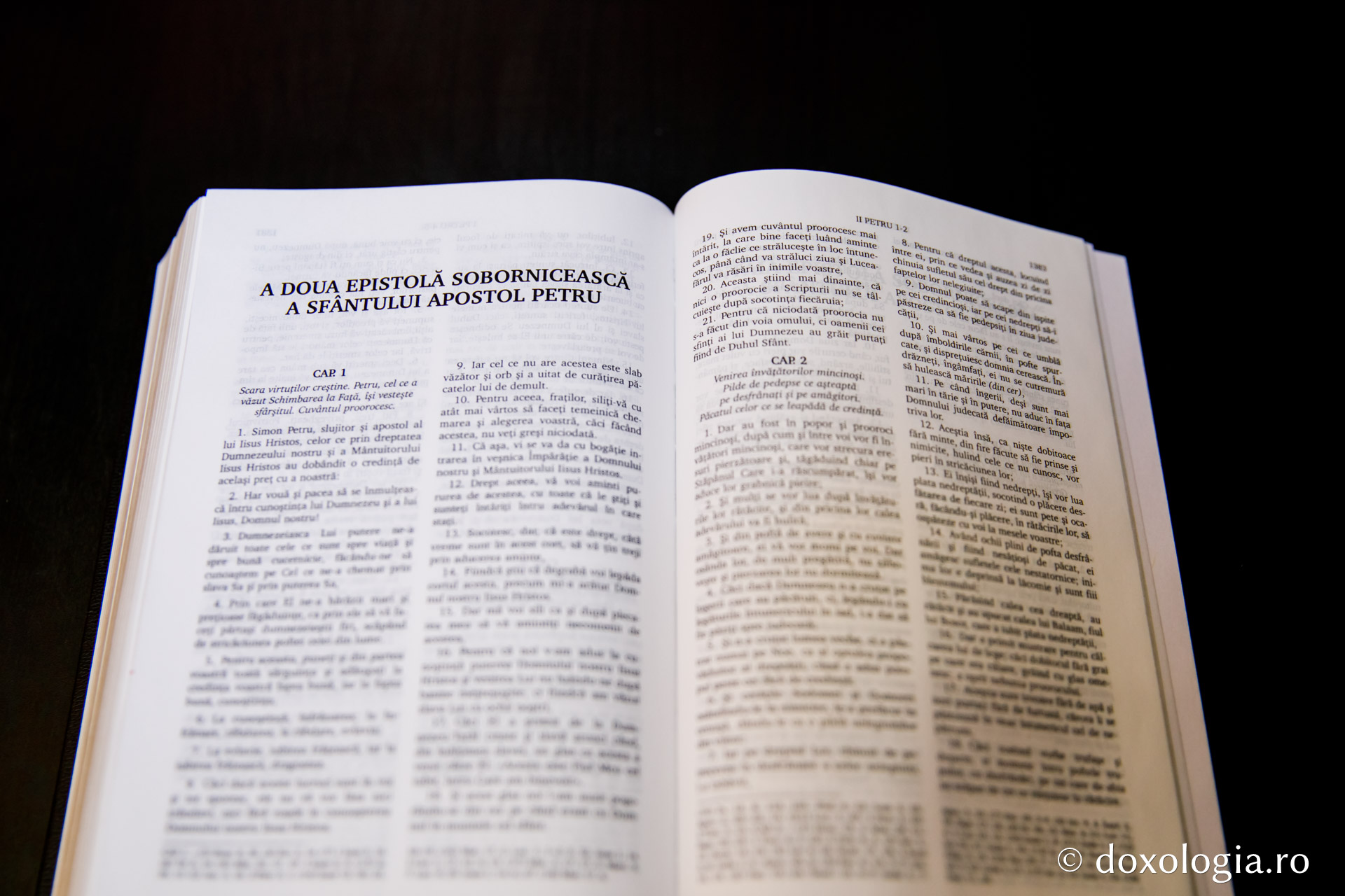 A doua Epistolă Sobornicească a Sfântului Apostol Petru – Capitolul 1