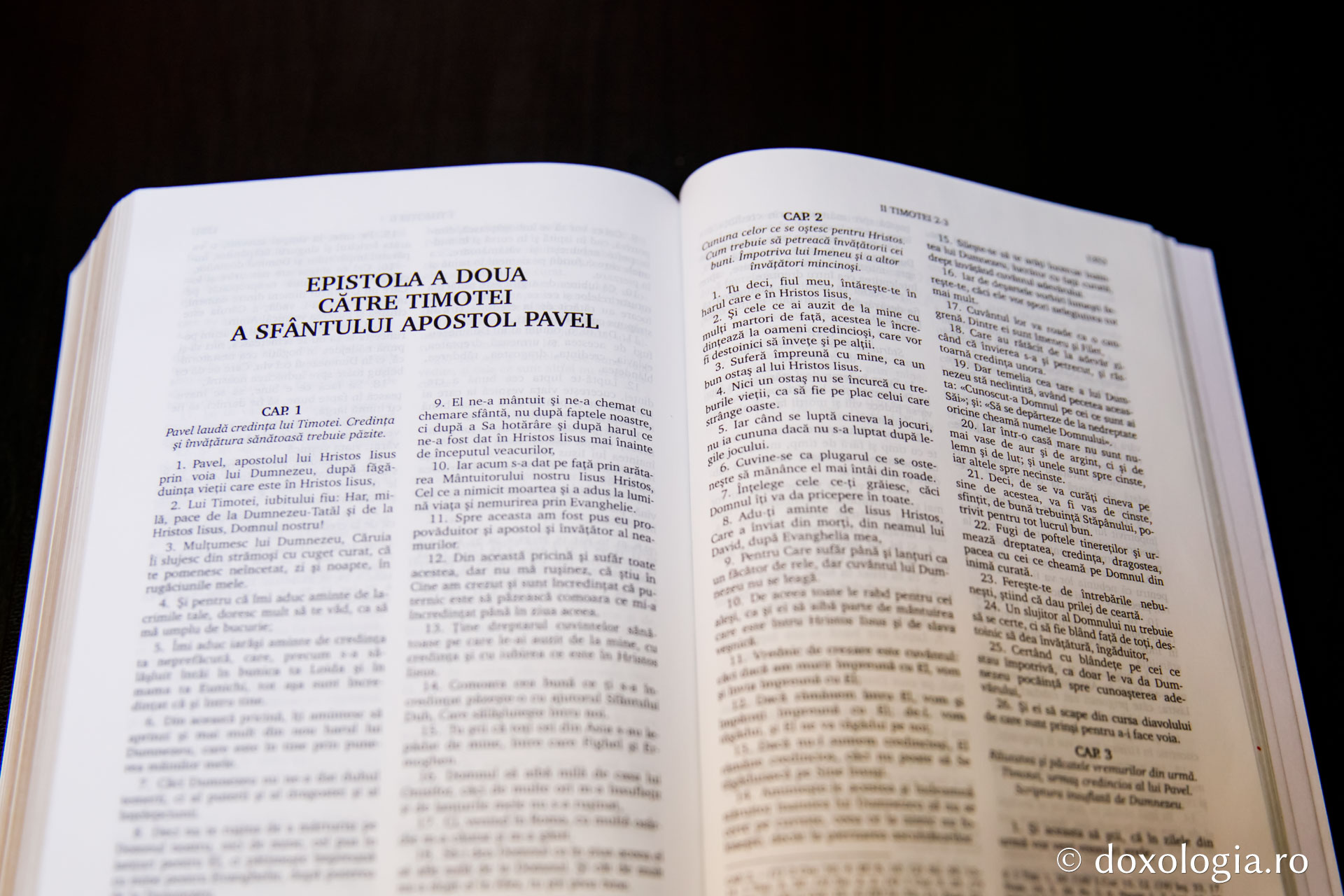 Epistola a doua către Timotei a Sfântului Apostol Pavel – Capitolul 1