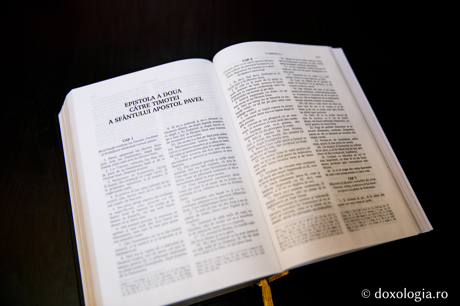 Epistola a doua către Timotei a Sfântului Apostol Pavel – Capitolul 2