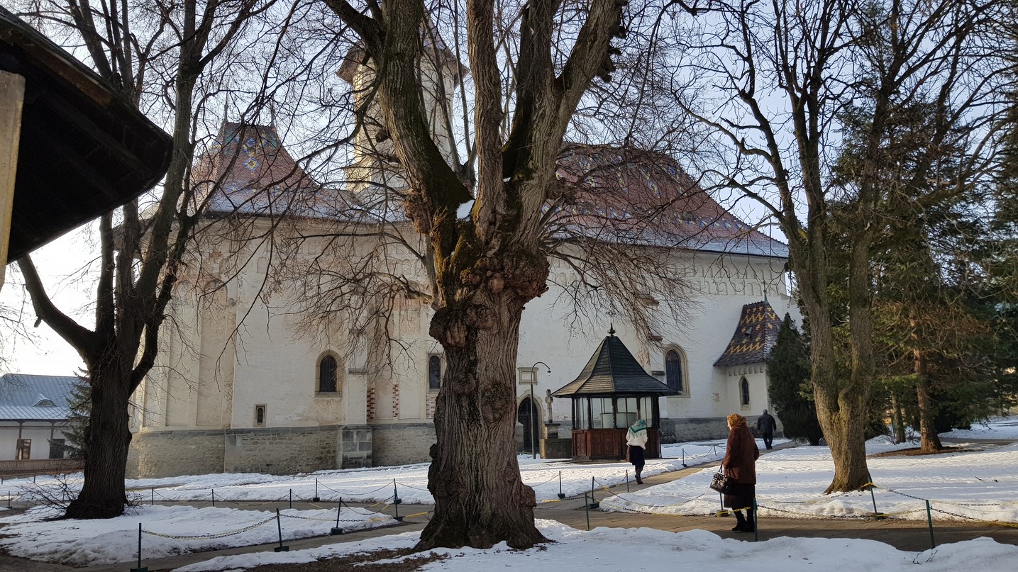 Liturghie arhierească la Suceava: „Să stăruim în rugăciunile noastre și Dumnezeu ne va da întotdeauna ceva”