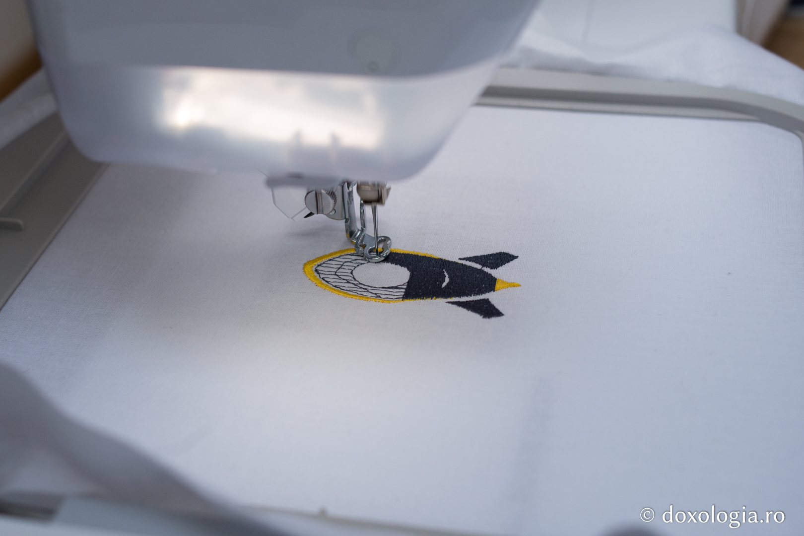 Foto: Bogdan Bulgariu Broderie computerizată – un proiect inedit pentru elevii de gimnaziu și de liceu