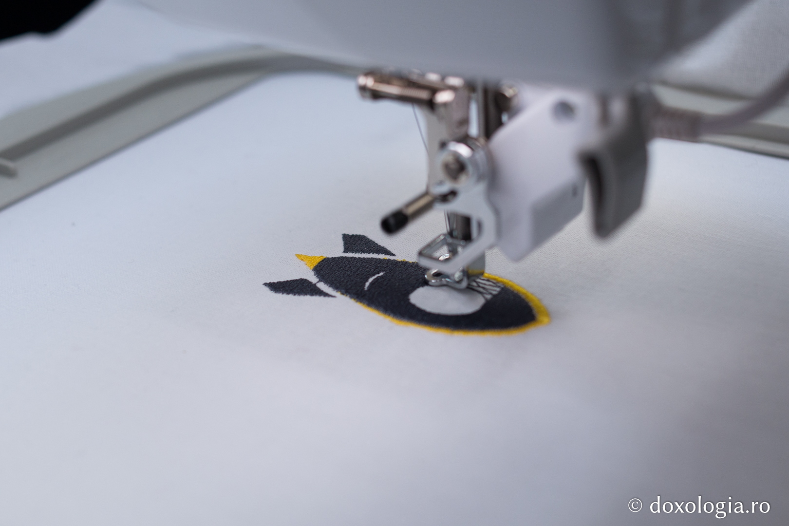 Foto: Bogdan Bulgariu Broderie computerizată – un proiect inedit pentru elevii de gimnaziu și de liceu