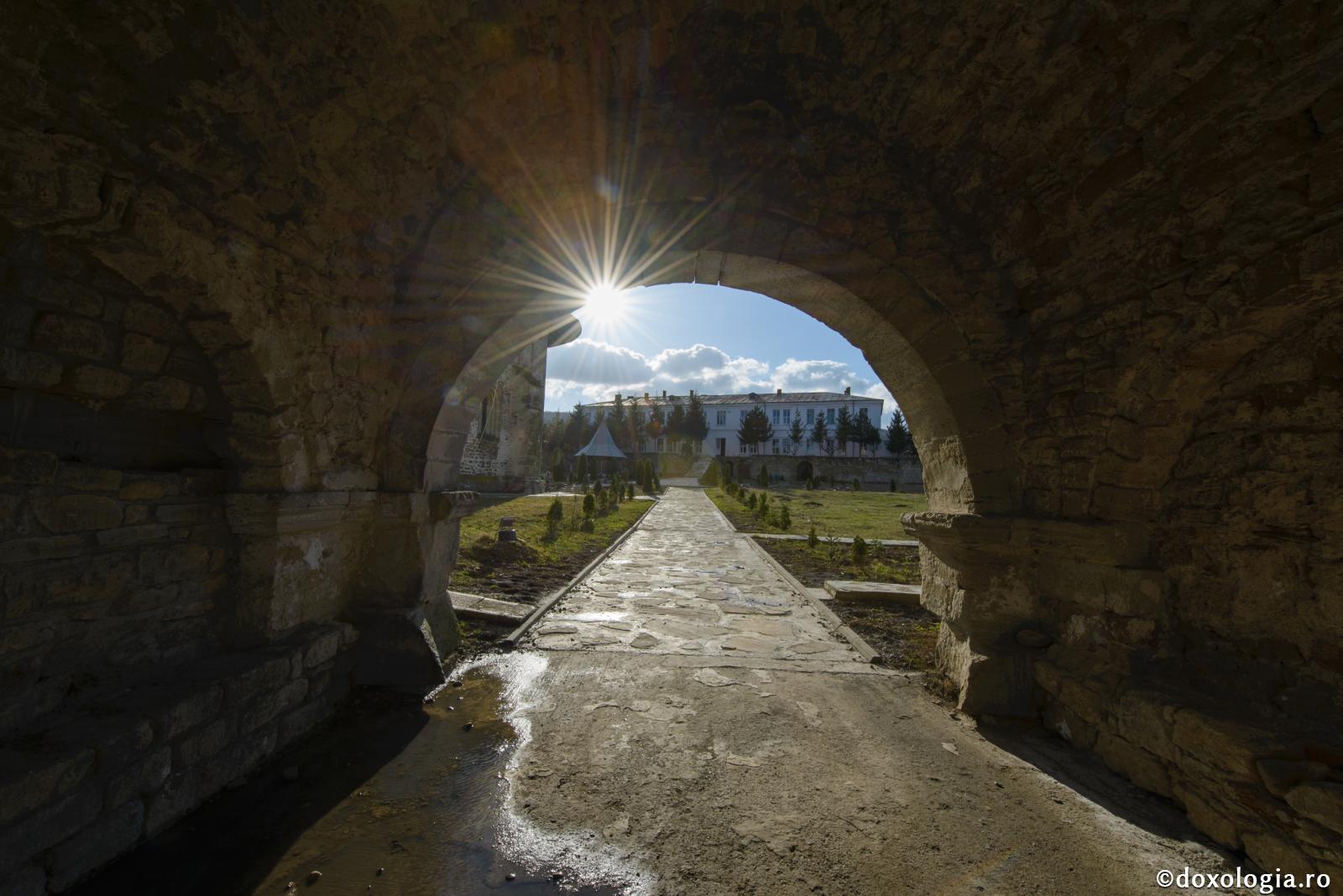 (Audio) „Prin fiecare alegere a noastră ne apropiem mai mult sau mai puțin de Hristos” - Arhim. Nichifor Horia