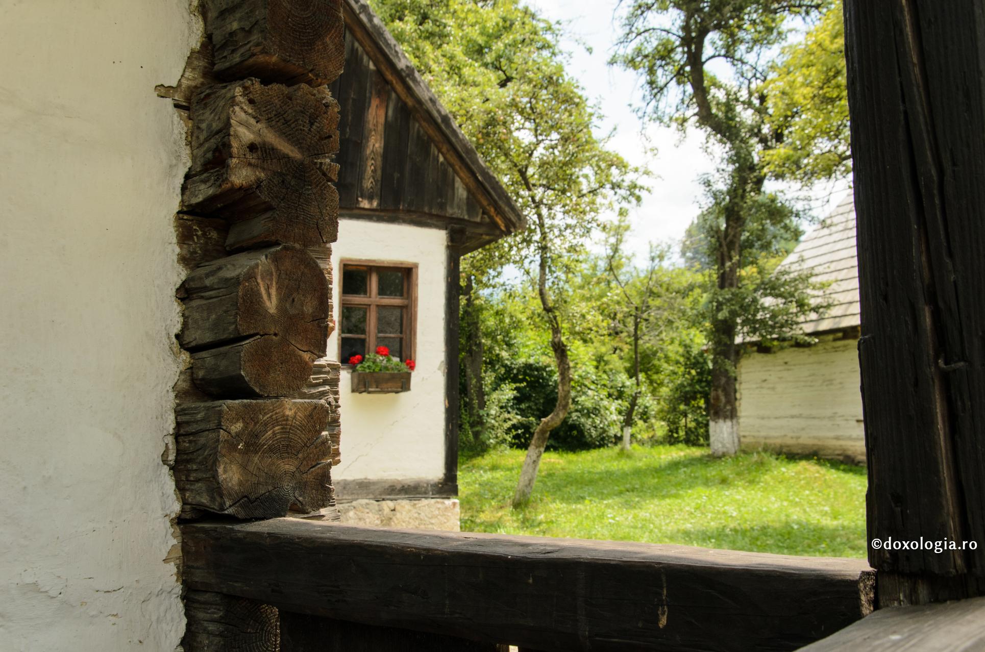 Foto: Ioana Zlotea (Video) Părintele Ioan Cristinel Teșu: „O familie este un edificiu care trebuie reconsolidat zilnic”