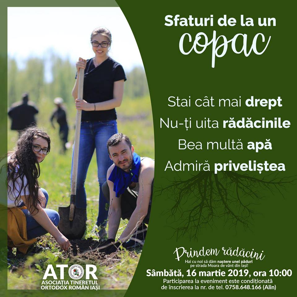 1000 de puieți vor fi plantați sâmbăta aceasta de voluntarii ATOR Iași
