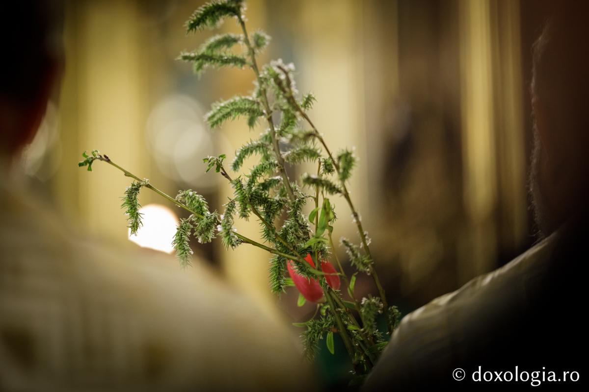 Intrarea Domnului în Ierusalim, serbată prin ample procesiuni în Arhiepiscopia Iașilor