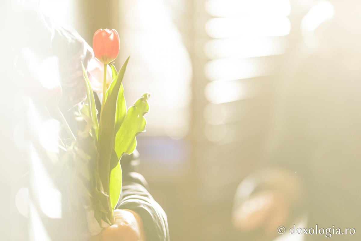 Intrarea Domnului în Ierusalim, serbată prin ample procesiuni în Arhiepiscopia Iașilor