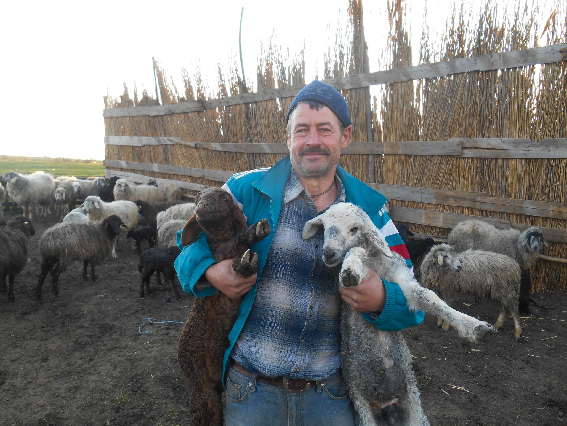 Miei şi peşti pentru credincioşii din Chişcăreni şi Sat Nou, oferiţi de preotul paroh