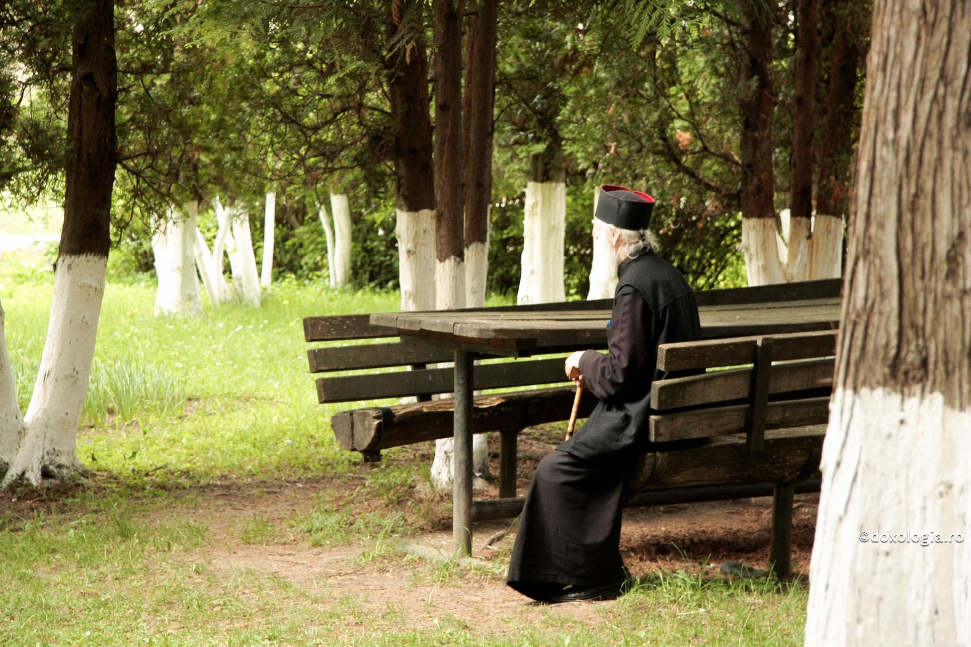 Între tăcere şi lucrare…