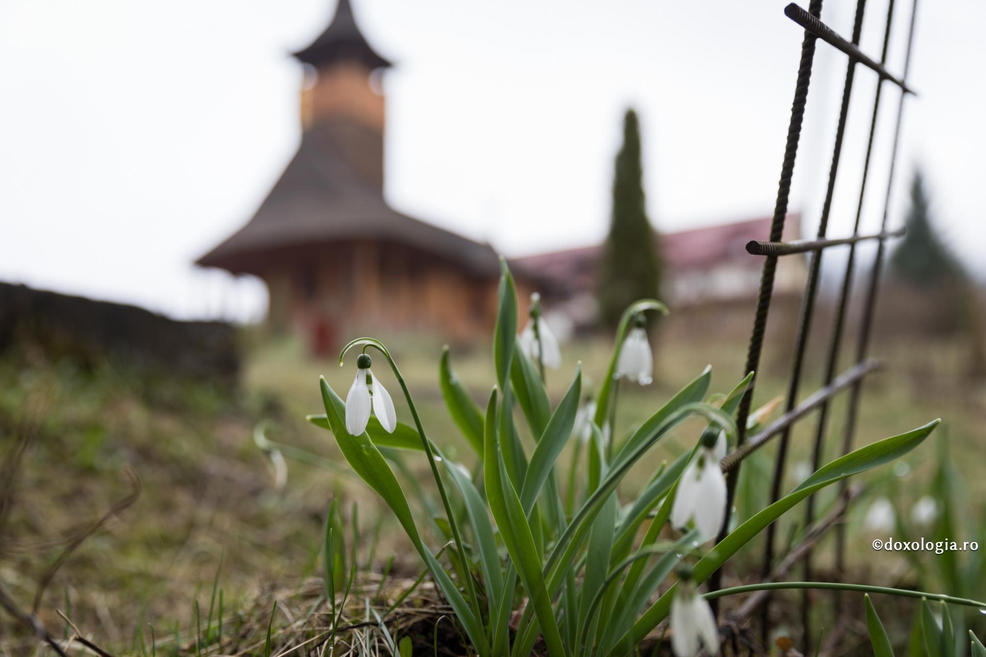 (Video) Cum Îl aducem pe Dumnezeu în inima noastră?