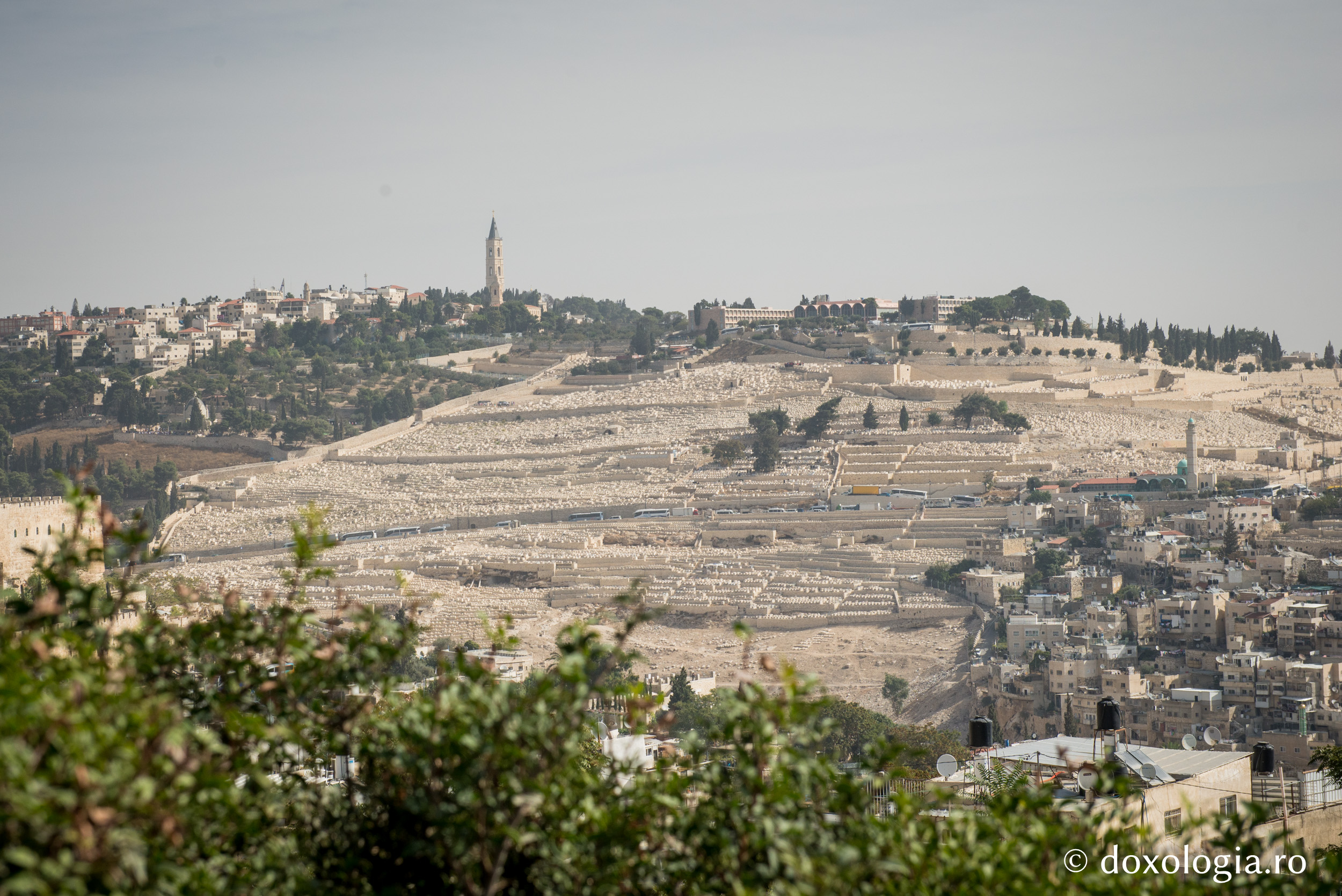 Muntele Măslinilor (Eleon)