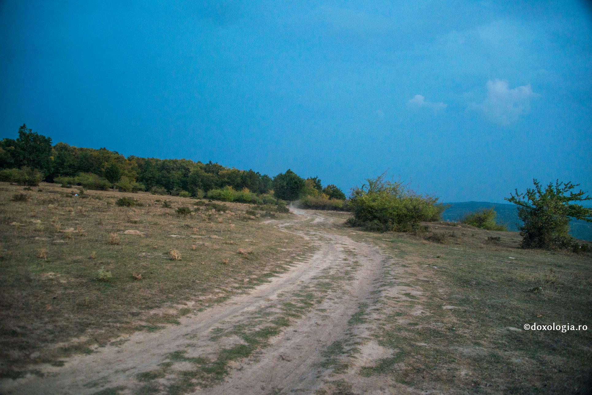 (Video) „Orice păcat ar fi, oricât de mic, mă împiedică să trăiesc bucuria”