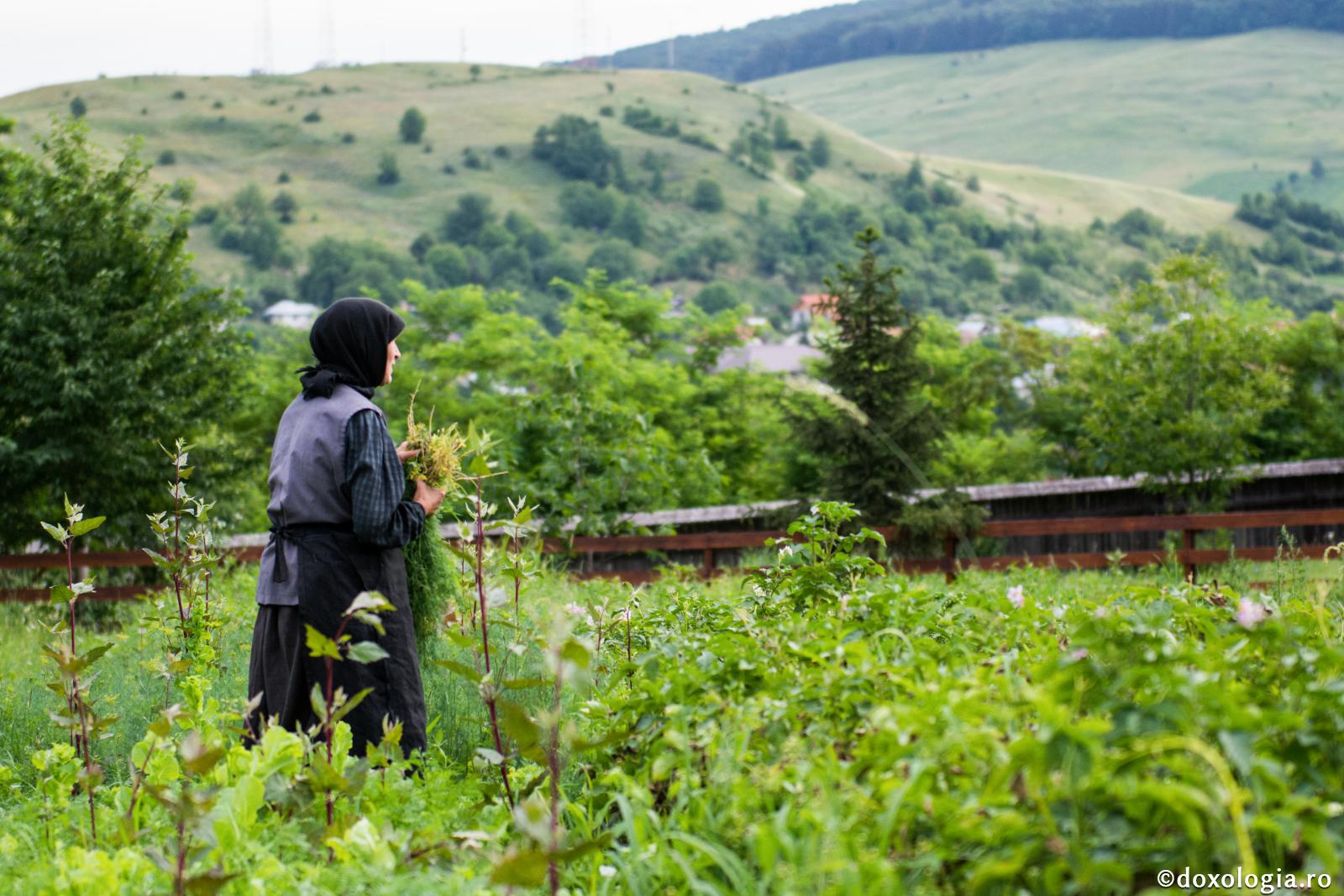 Foto: Ștefan Cojocariu (Audio) „Prea puțin mai avem energia de a lua în serios cuvântul lui Dumnezeu” - Arhim. Nichifor Horia