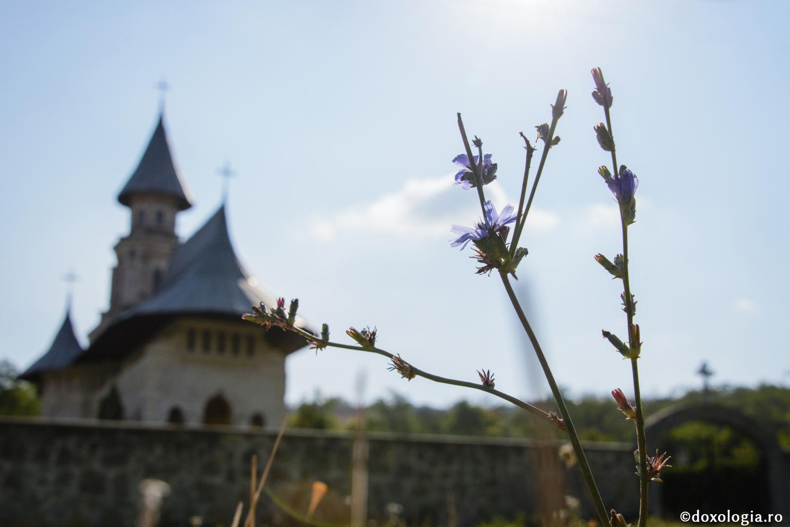 „Şi ce nu face lumea ca să ne îngroape? Dar au uitat că noi suntem seminţe”