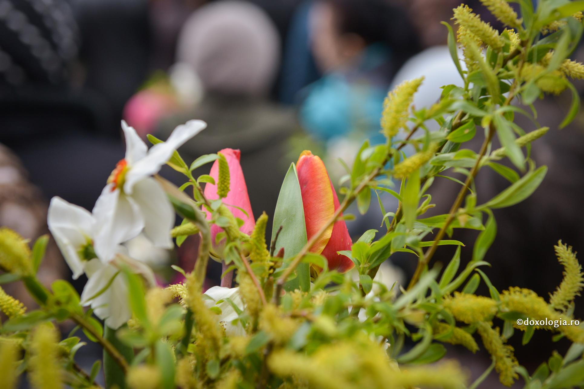 Programul Pelerinajului de Florii de la Iași